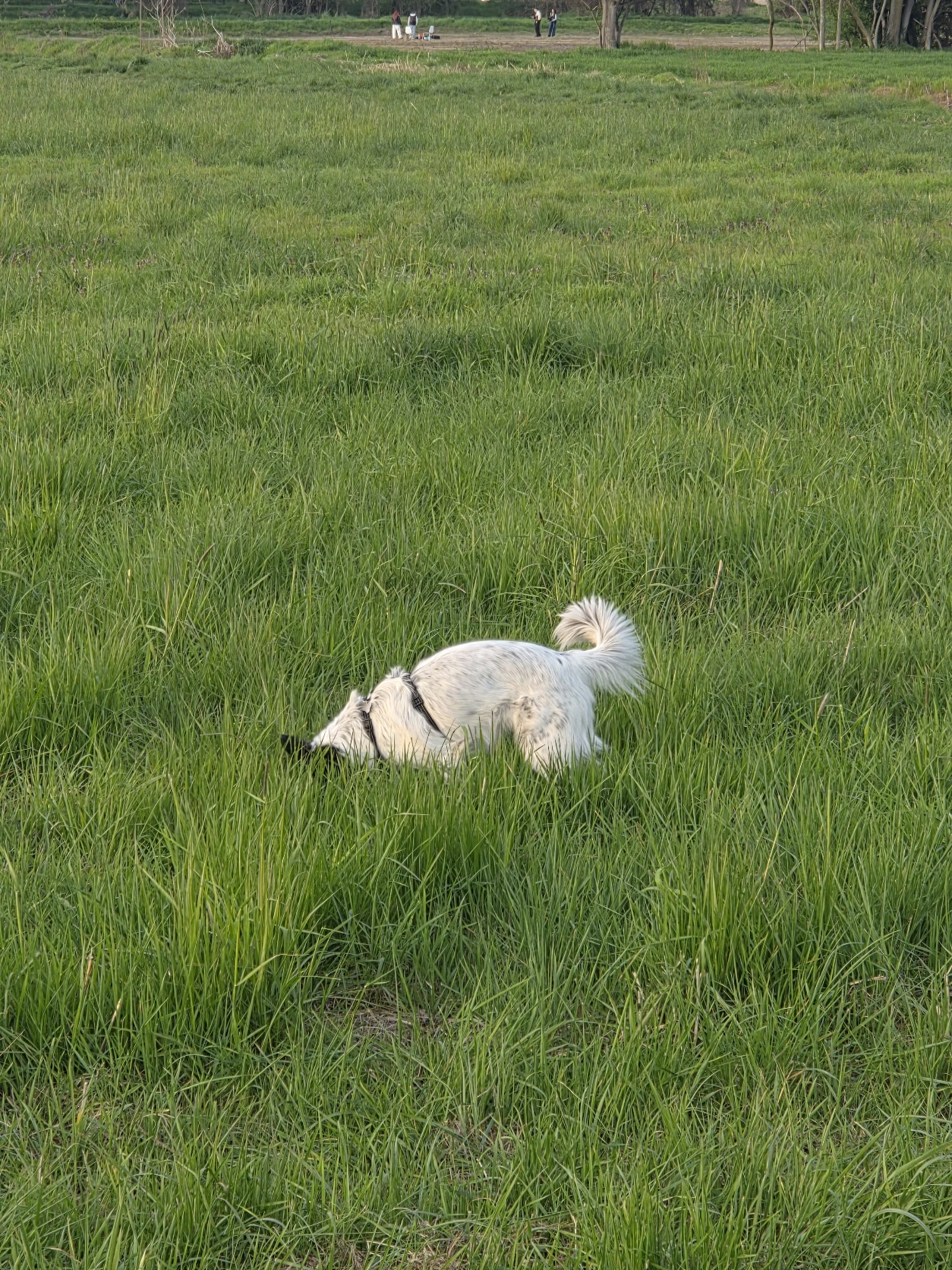 image-14