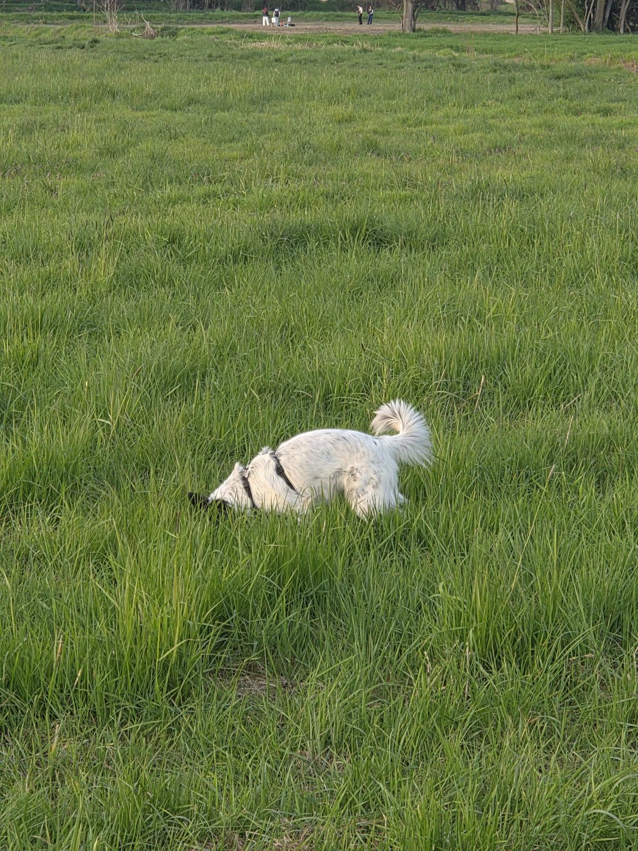 image-14