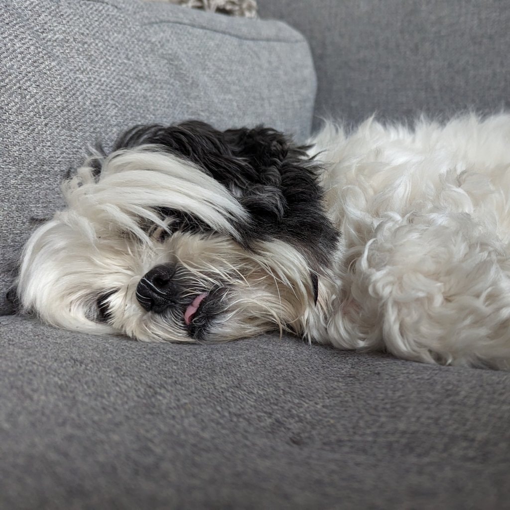 Hugo 