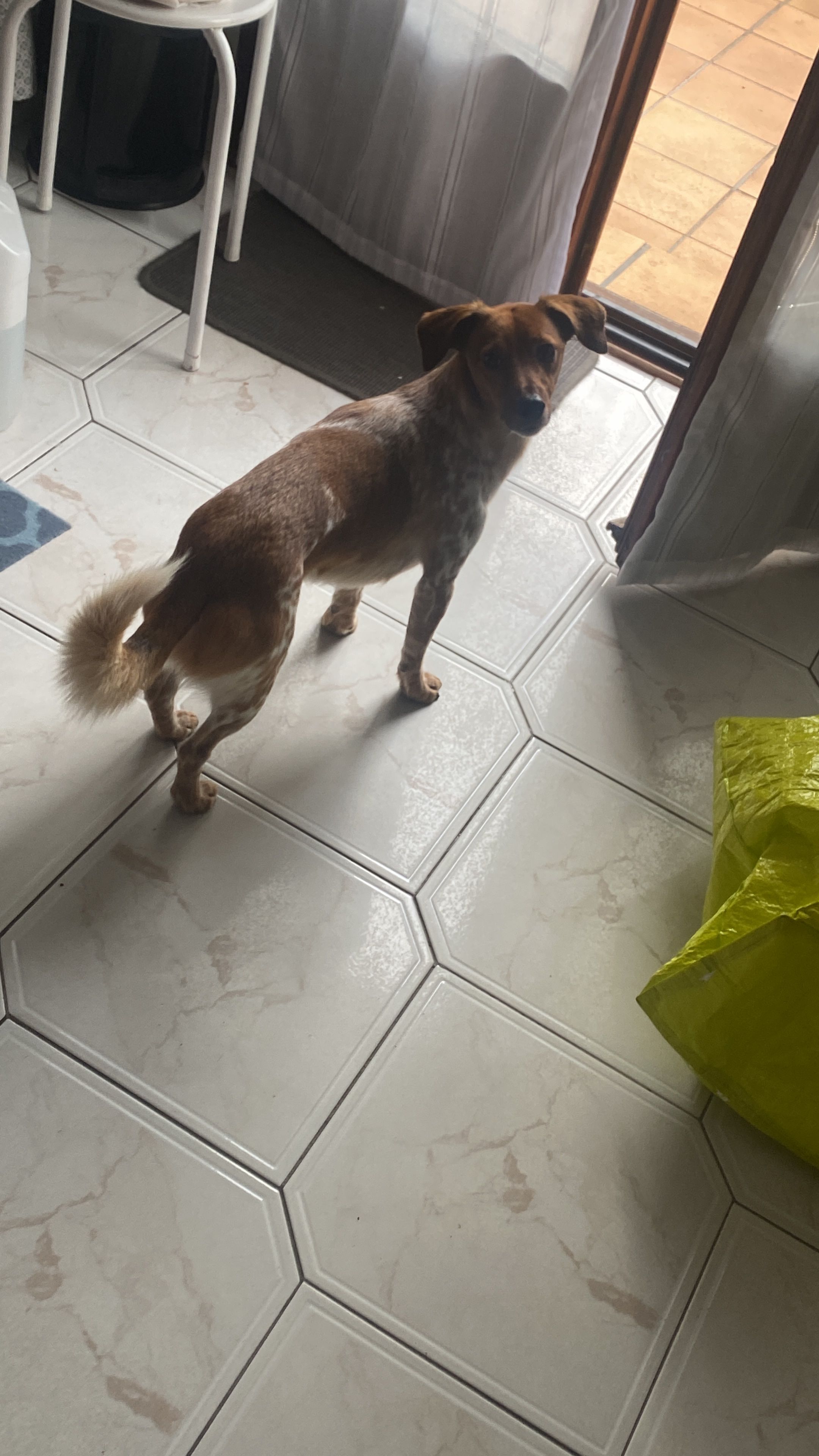 image-8