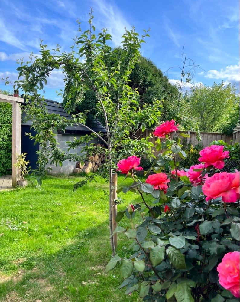 image-6