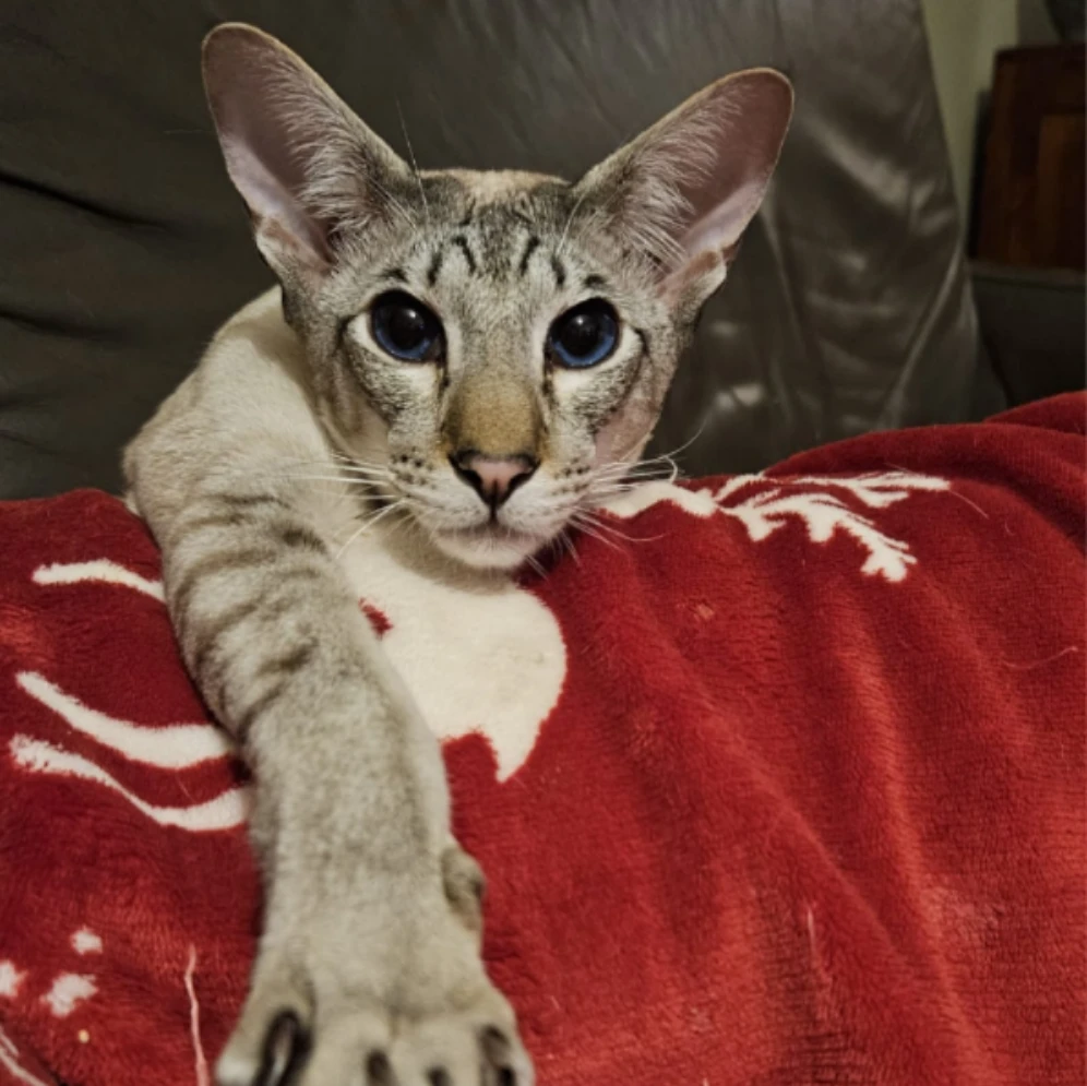 Milo