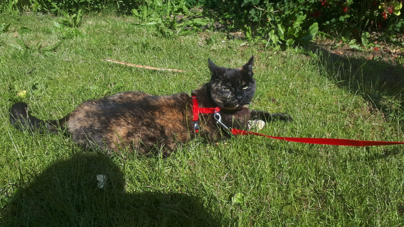 image-5