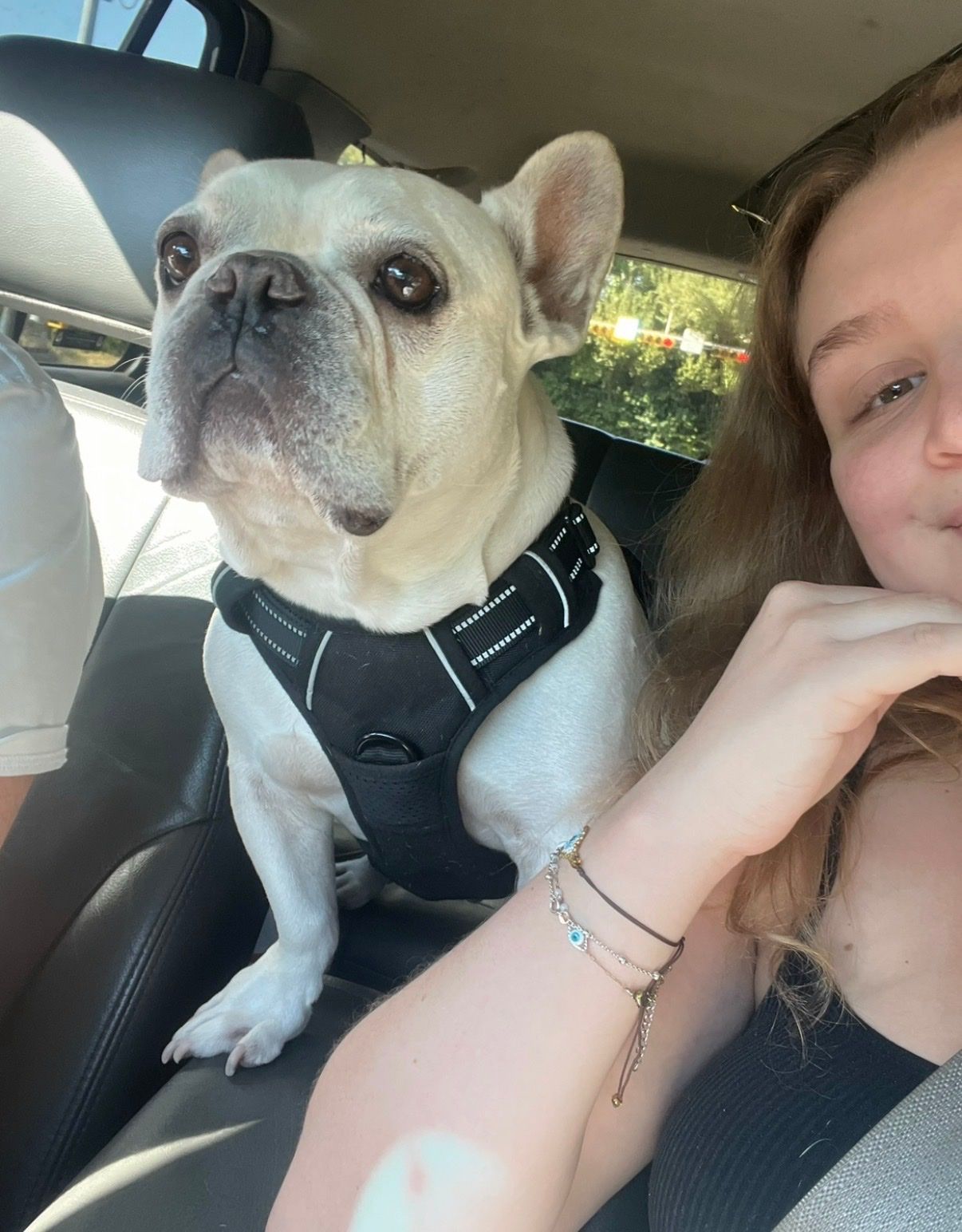 image-5