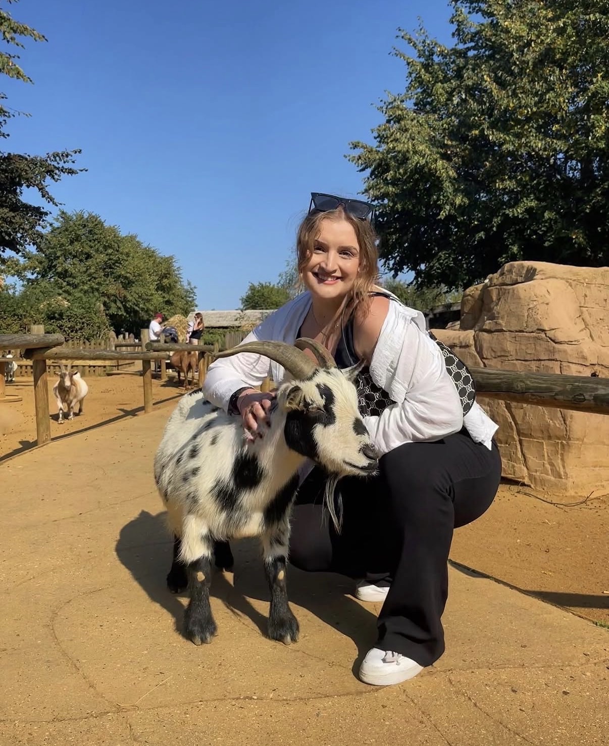 image-3
