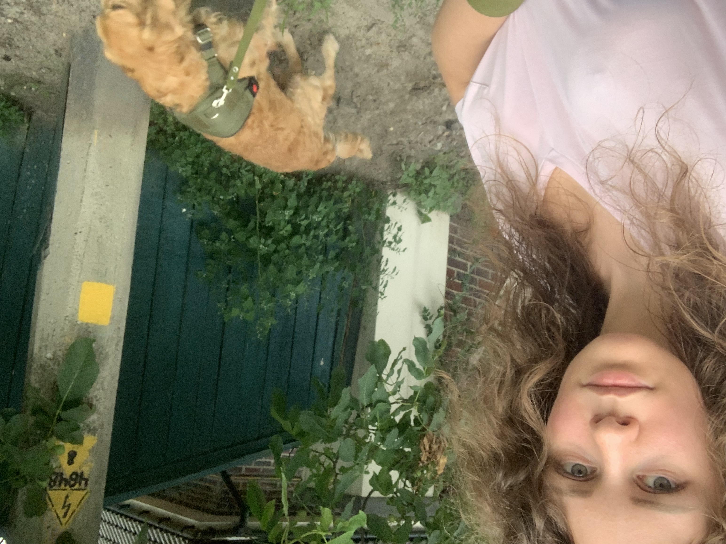 image-6