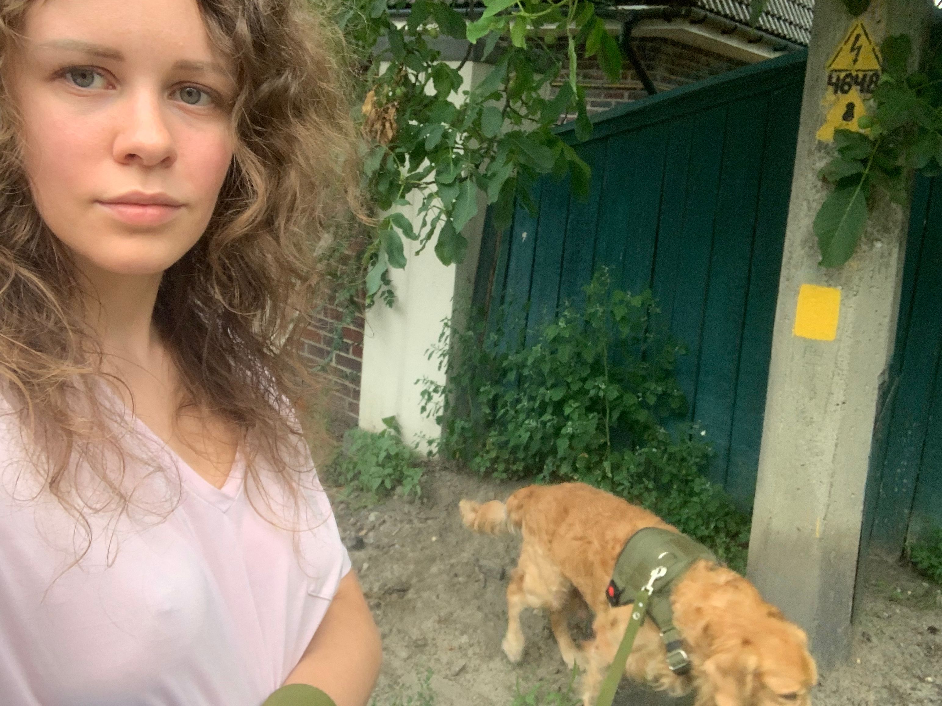 image-6