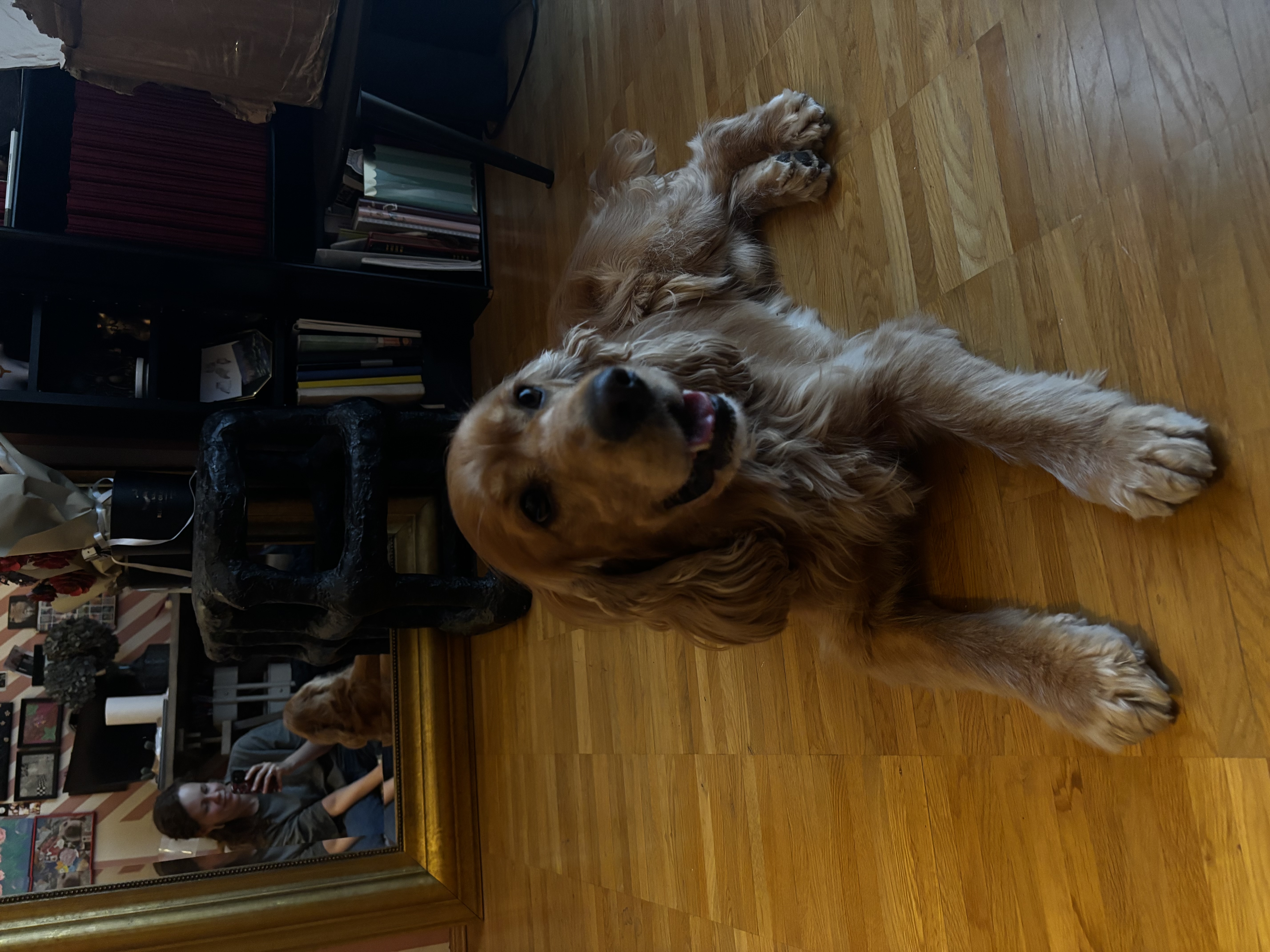 image-7