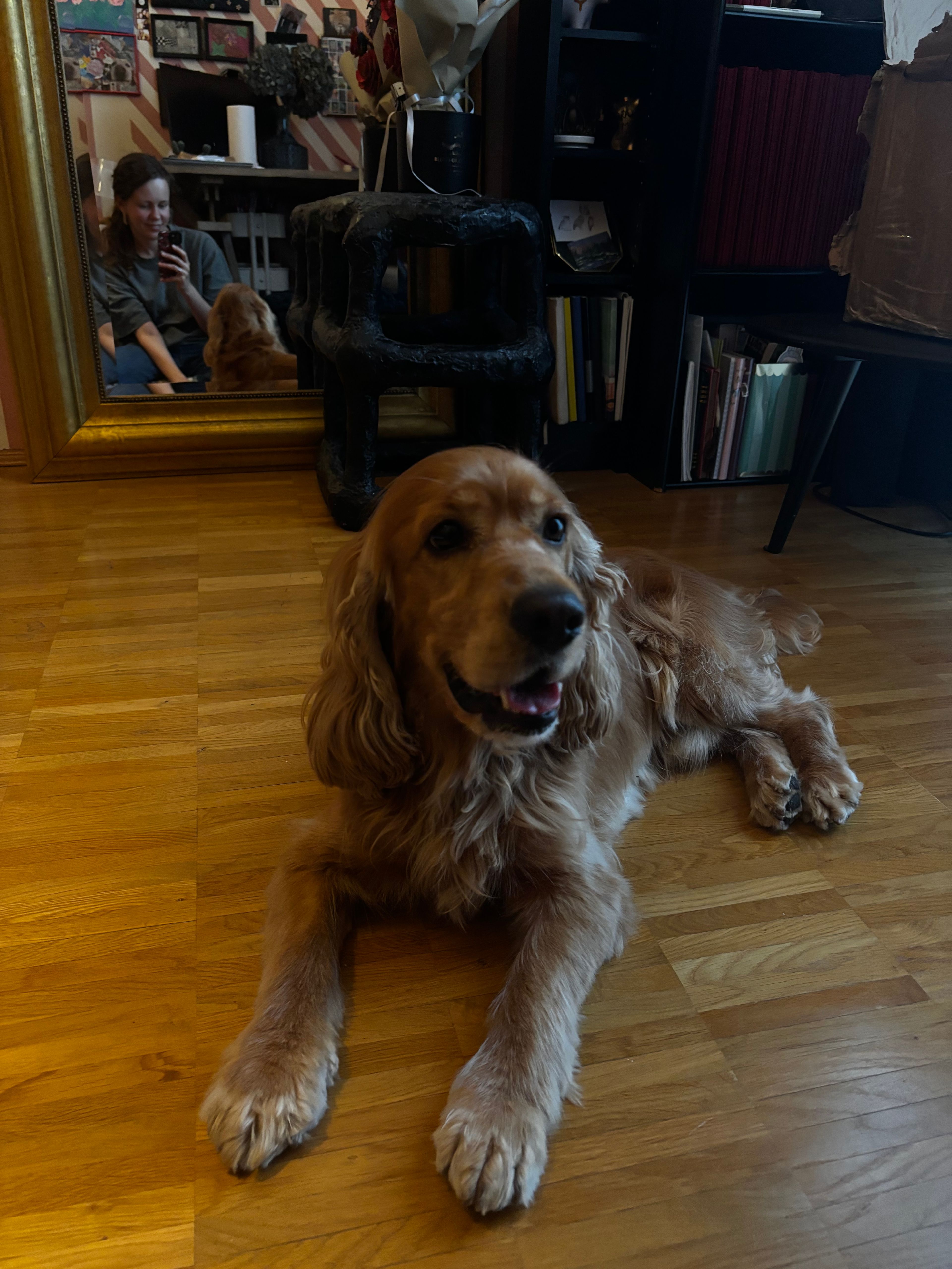 image-7