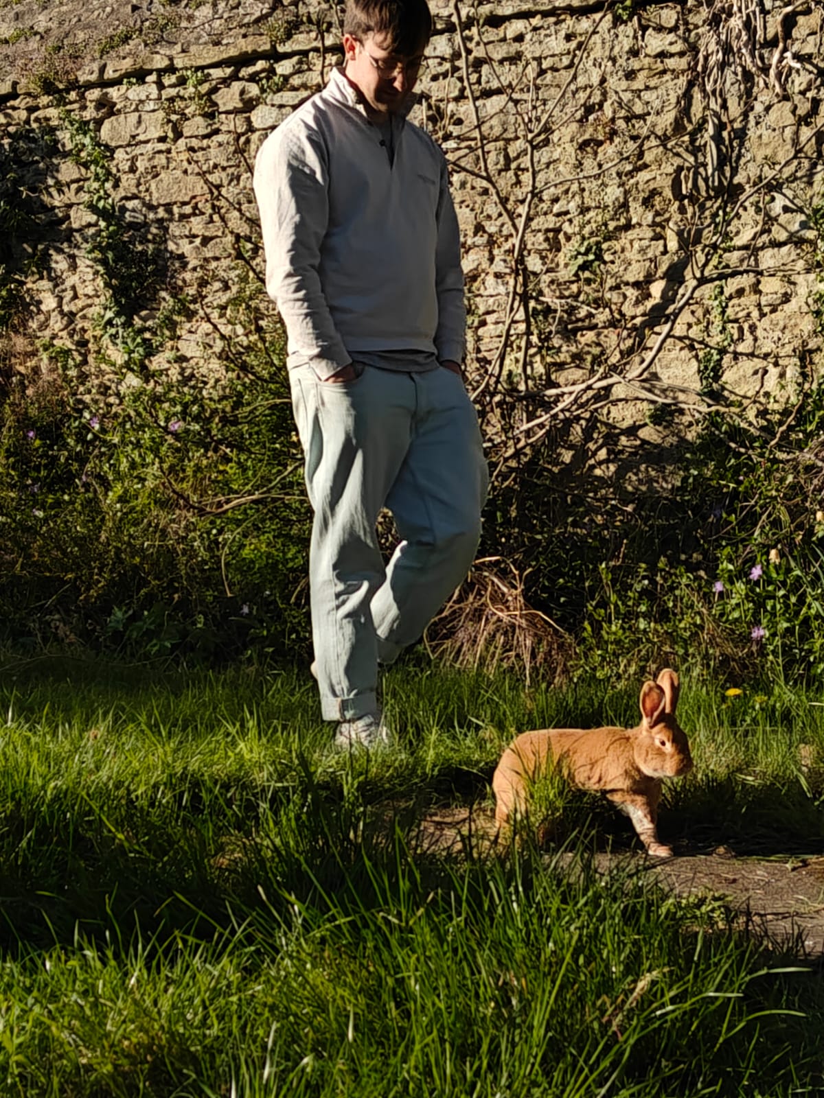 image-5