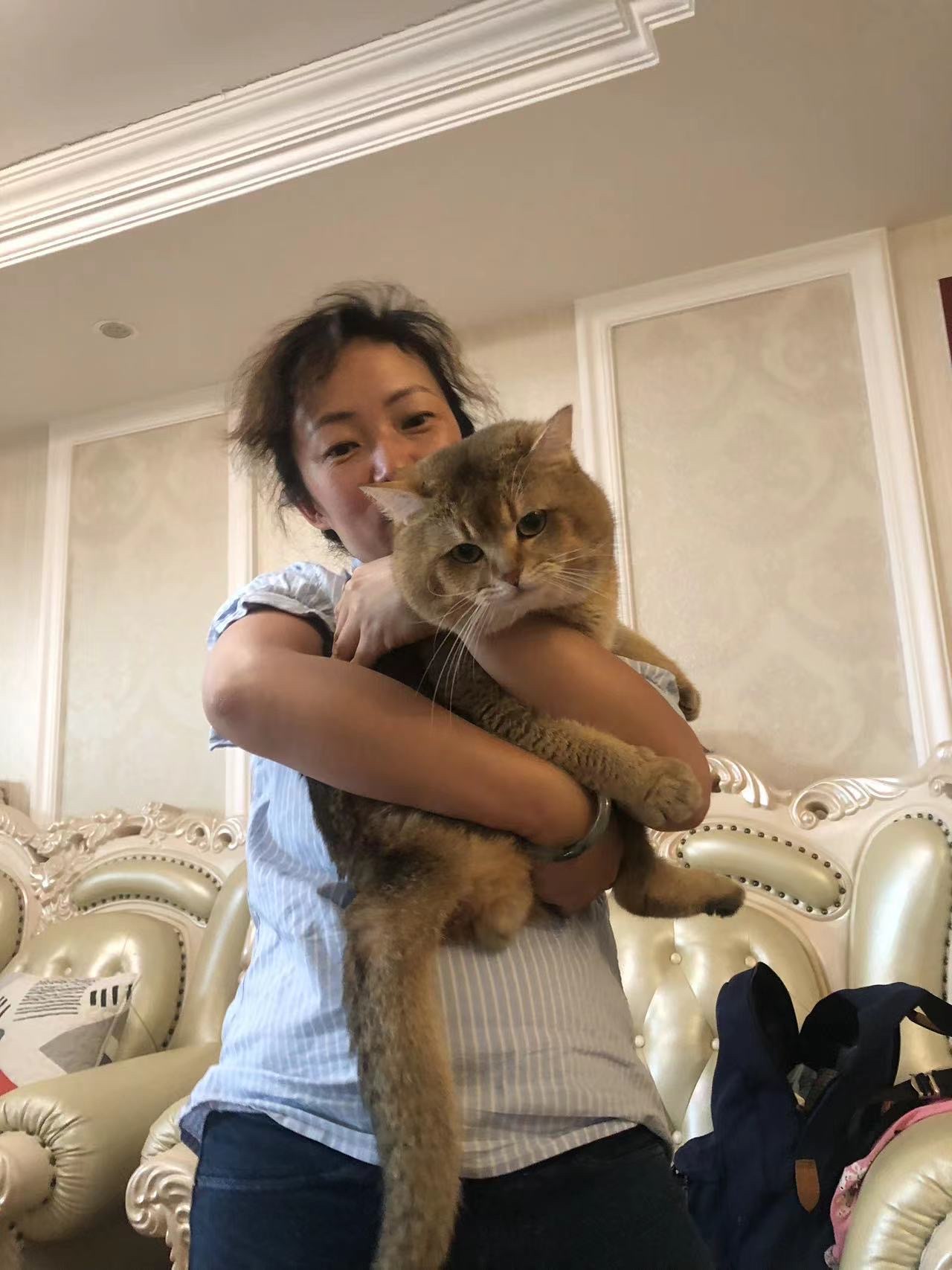 image-6