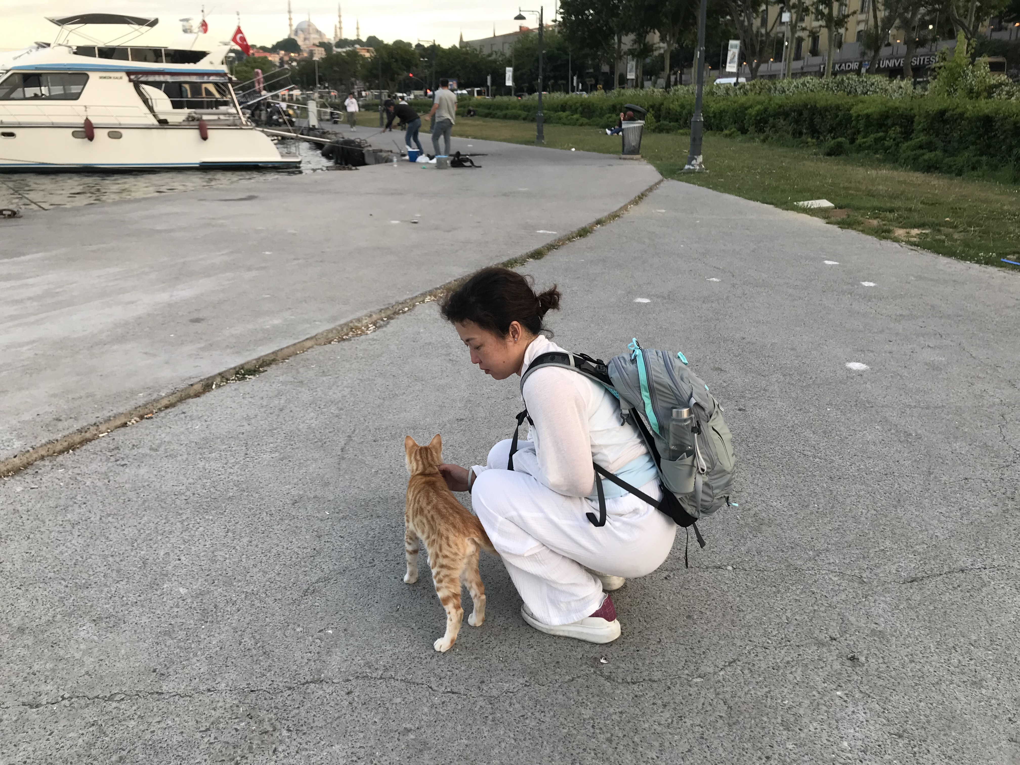 image-4