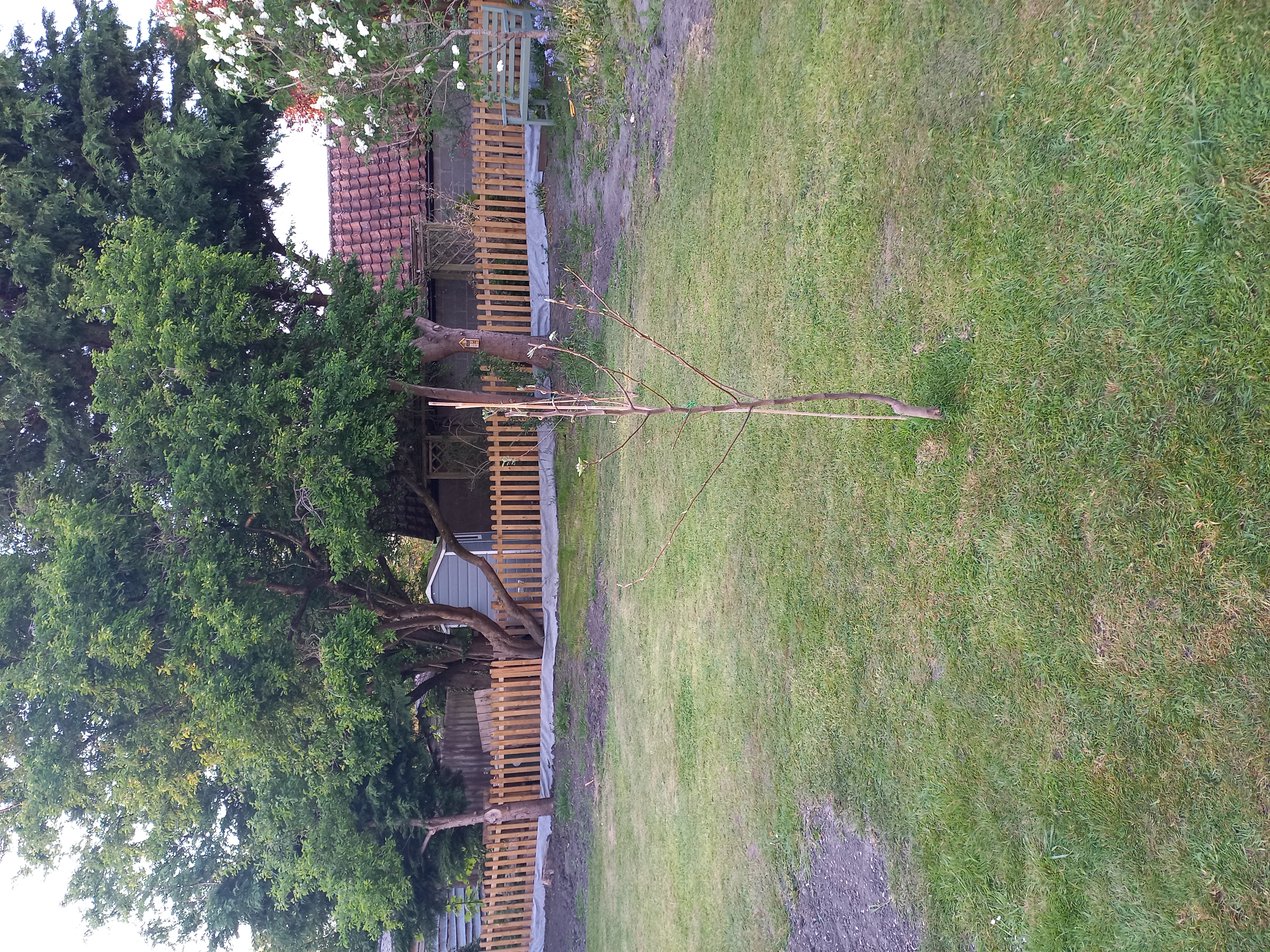 image-14