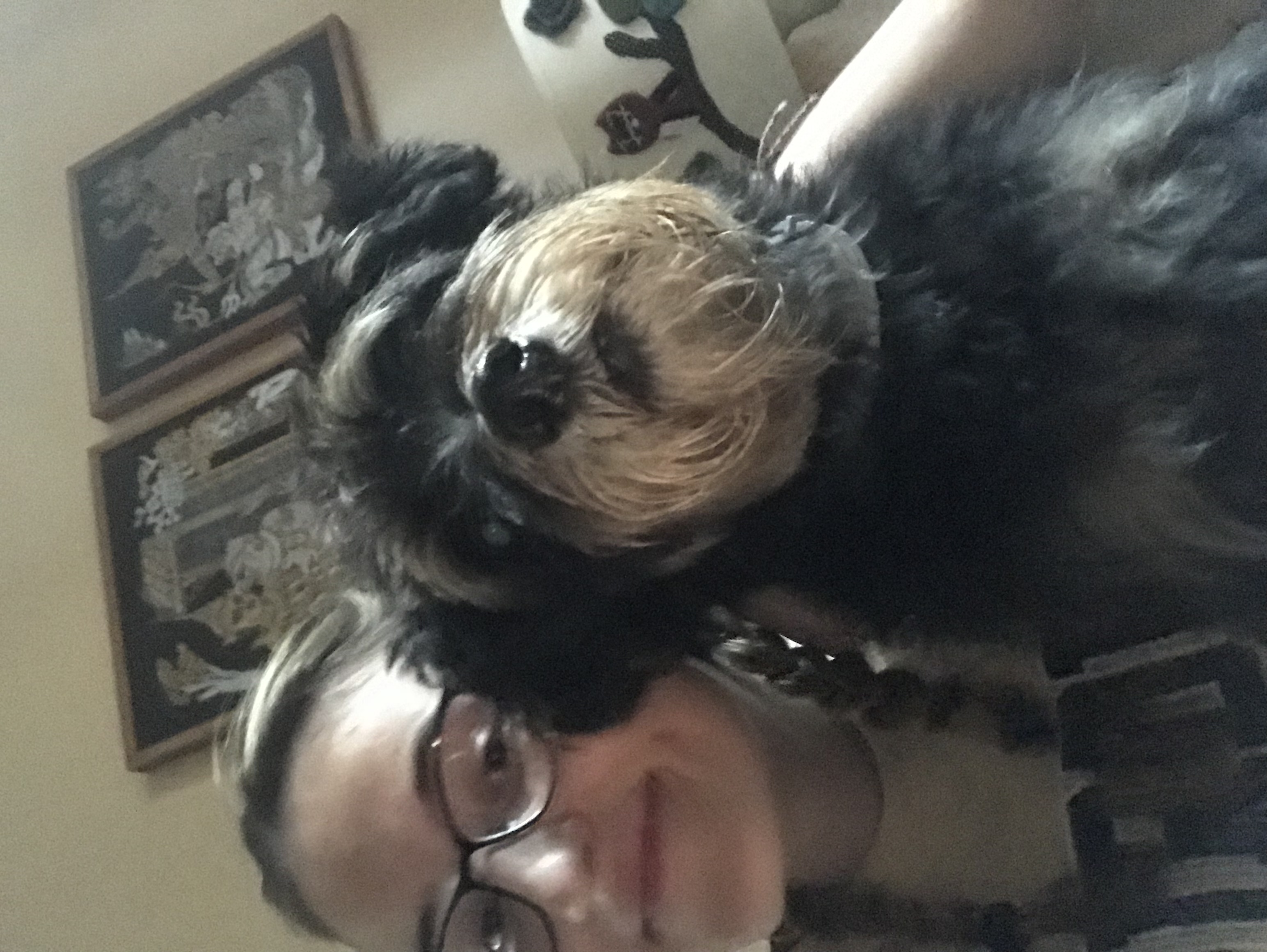 image-8