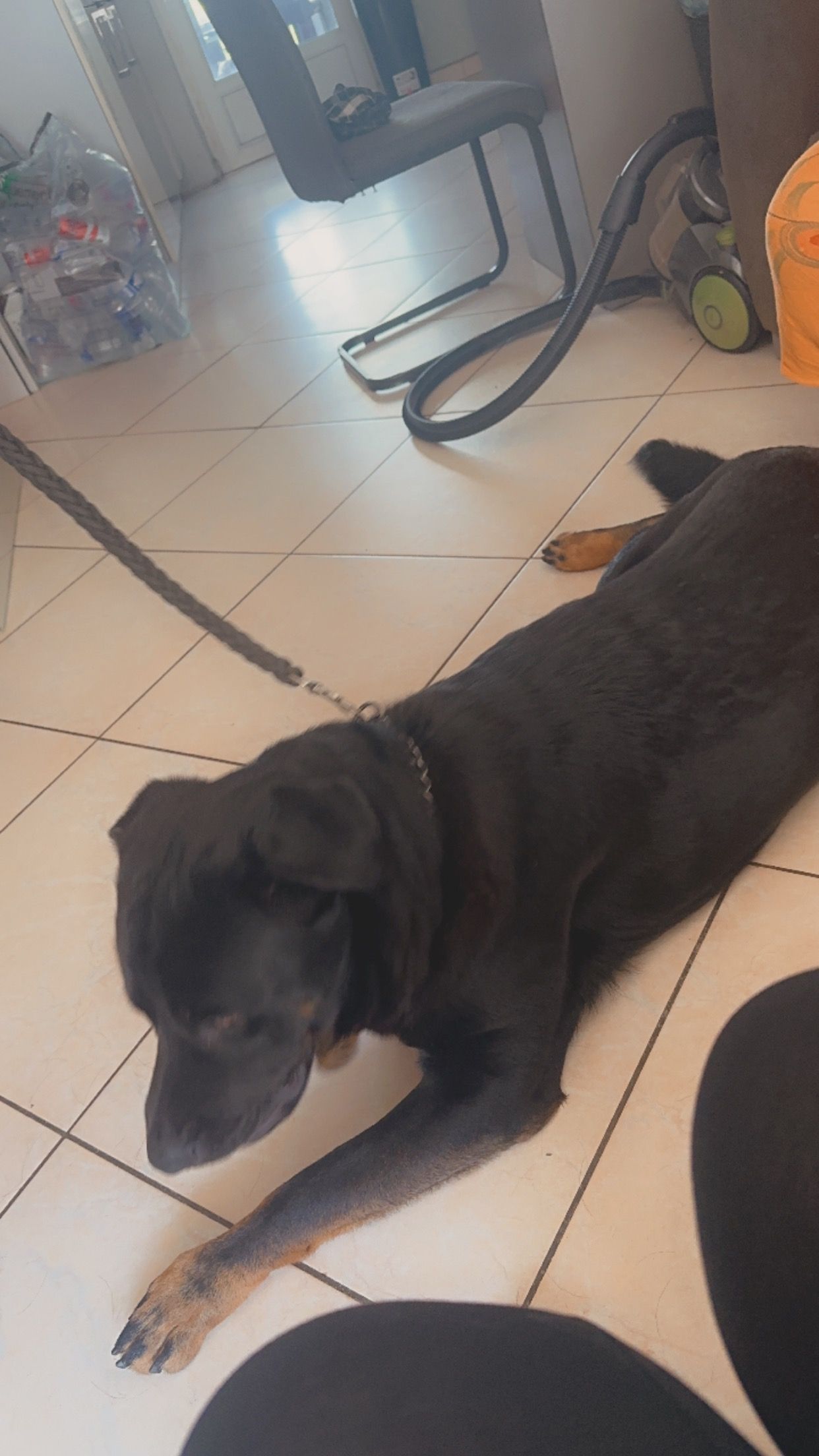 image-13