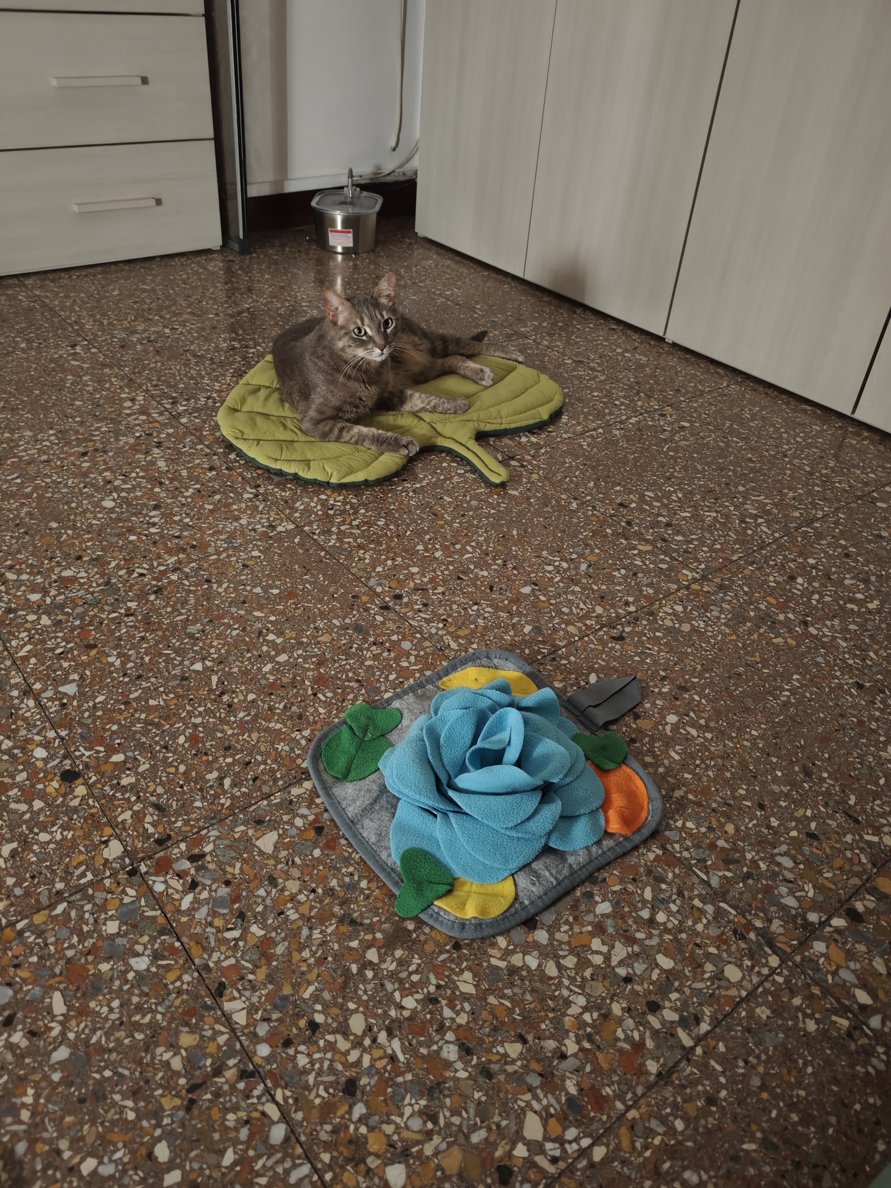 image-34