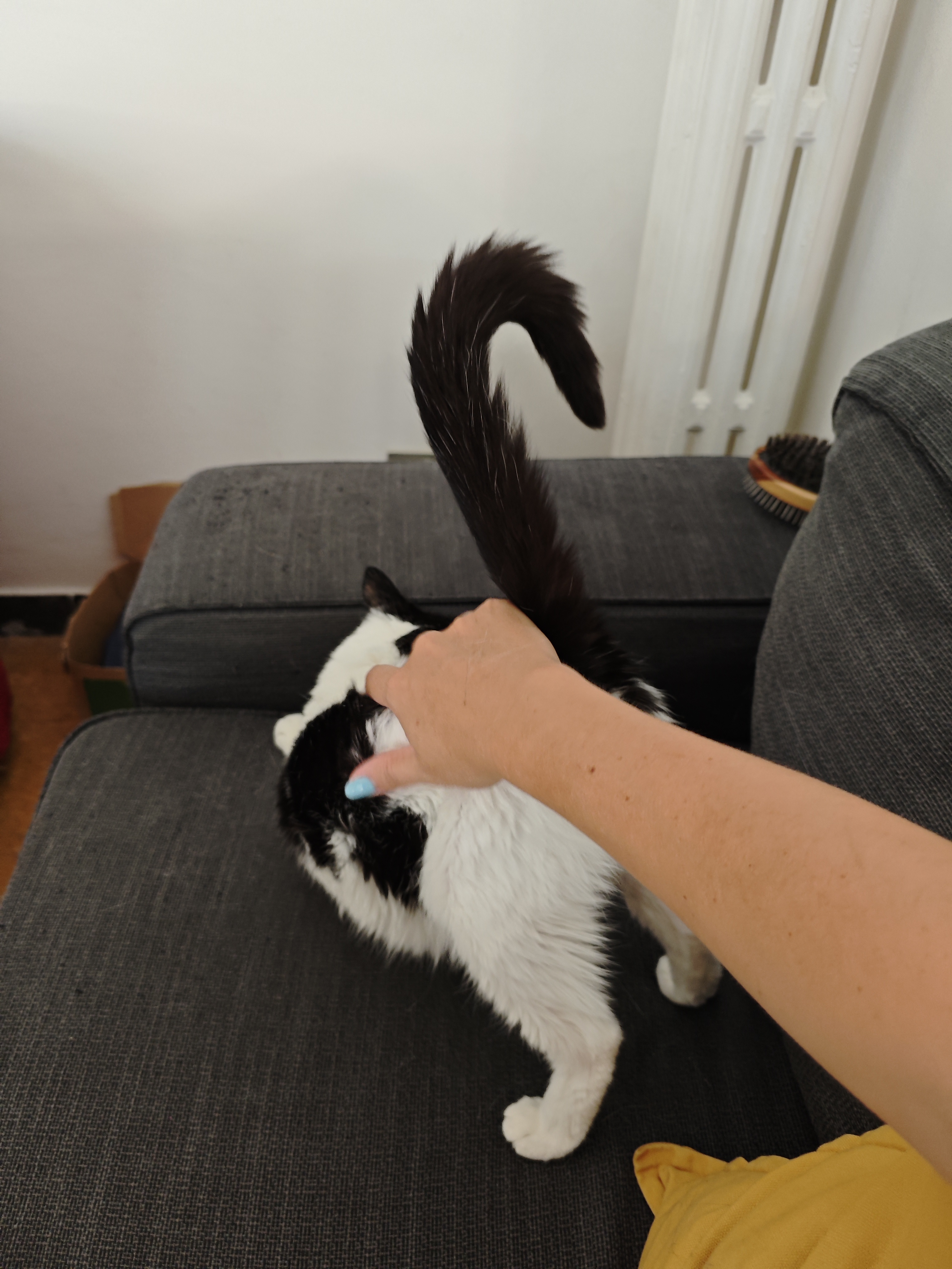 image-16