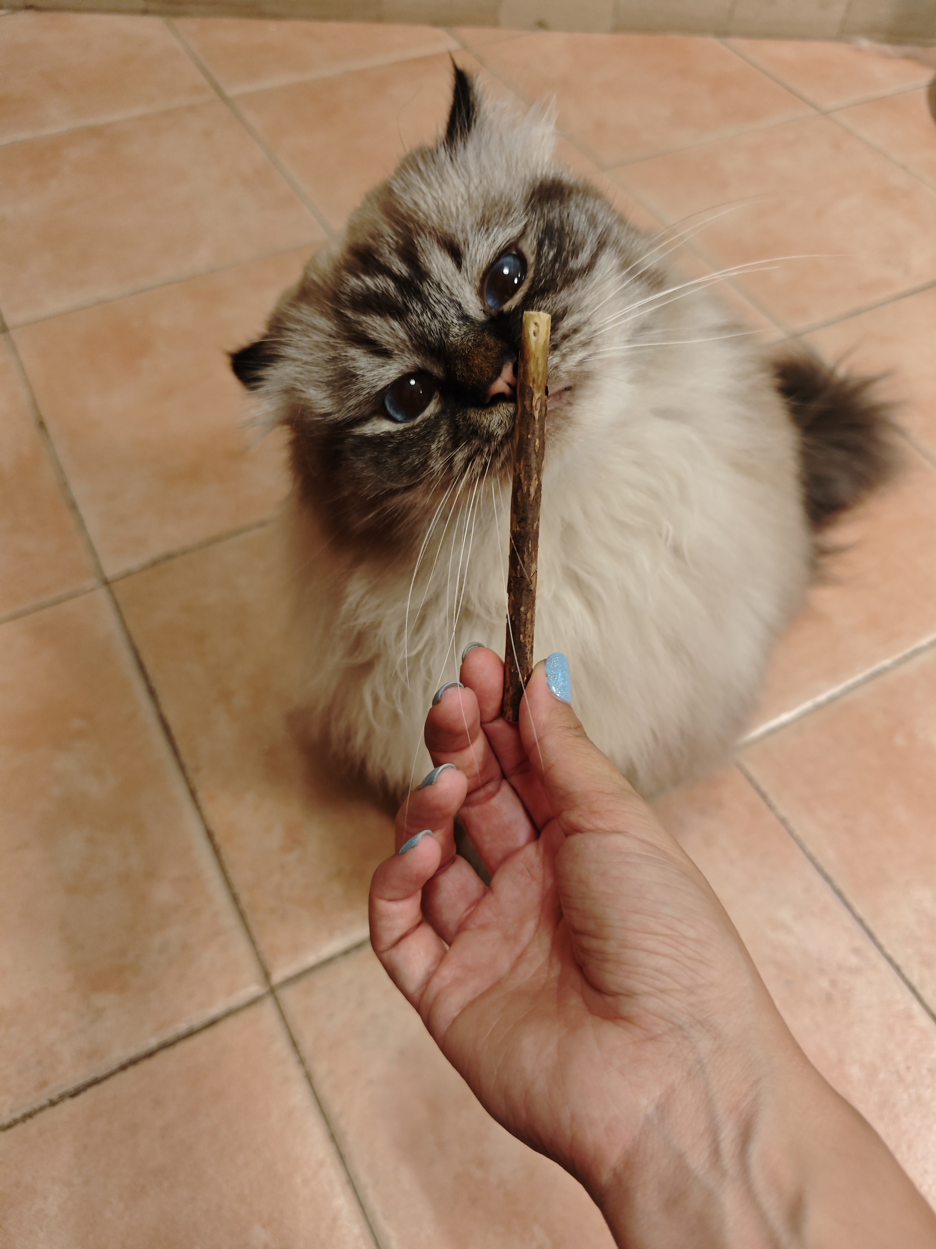image-7