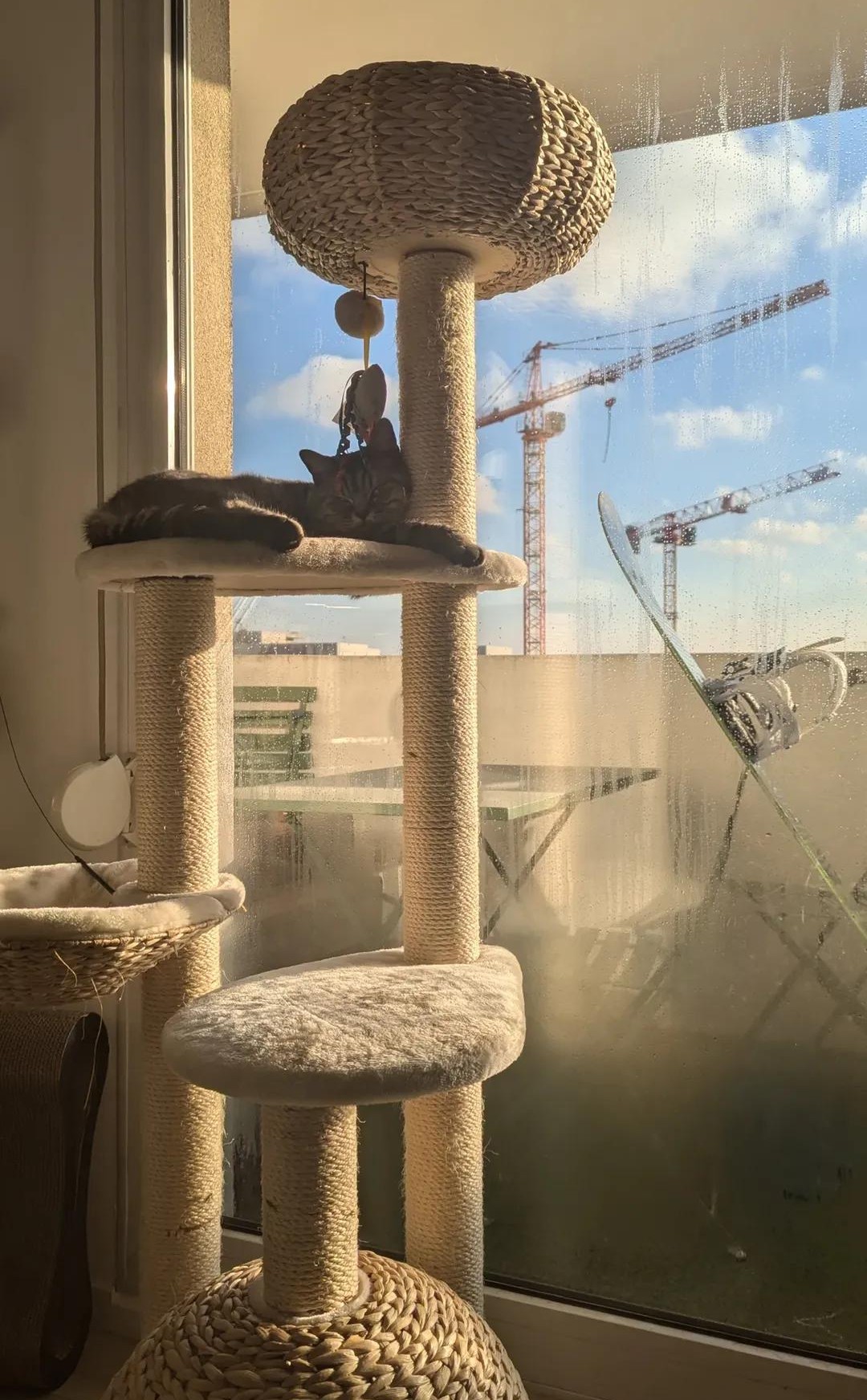 image-10