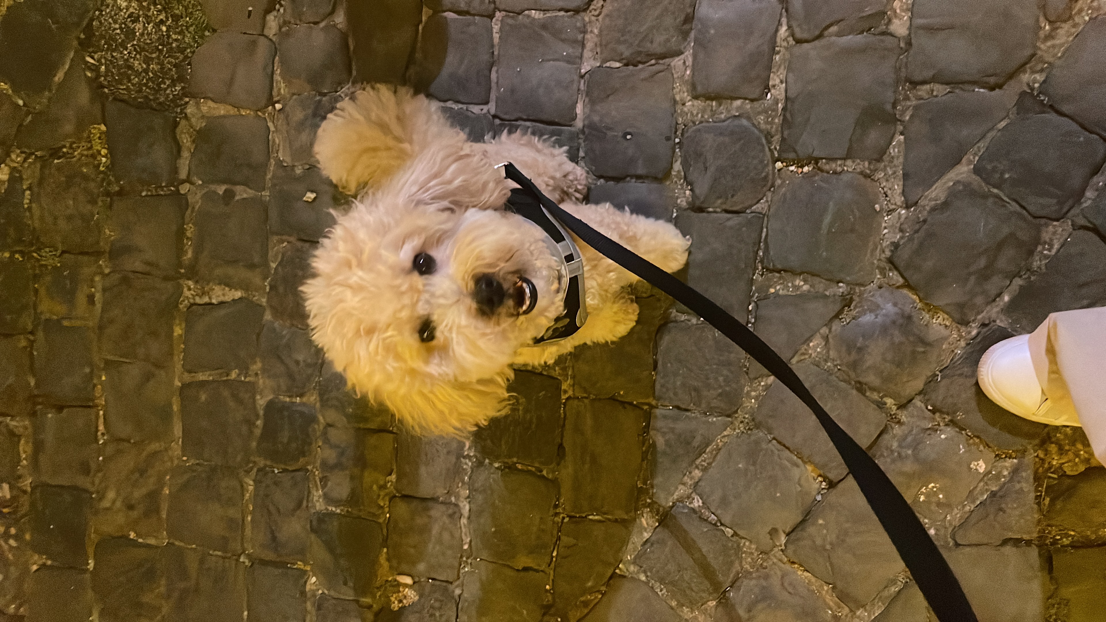 image-7