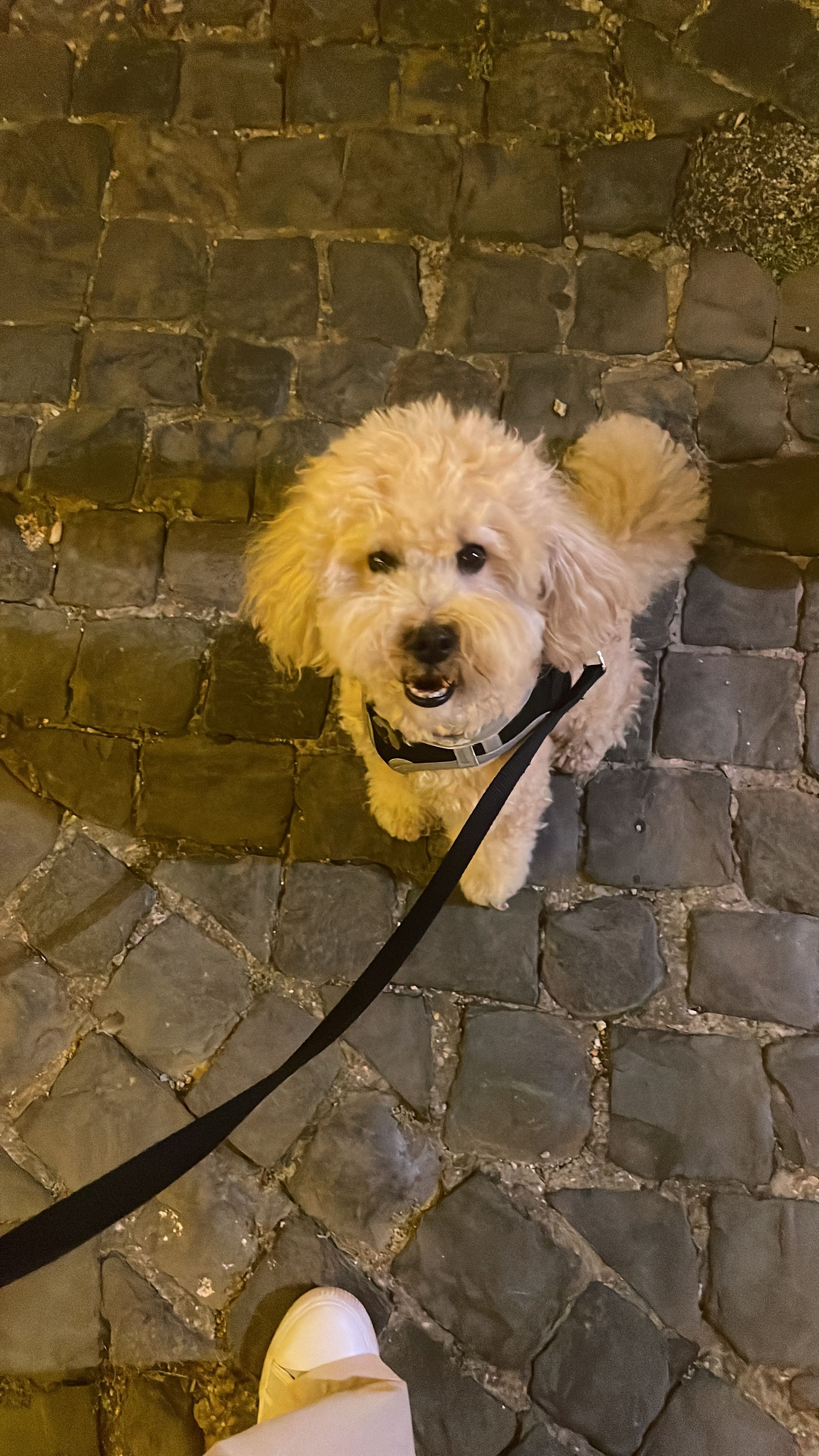 image-7