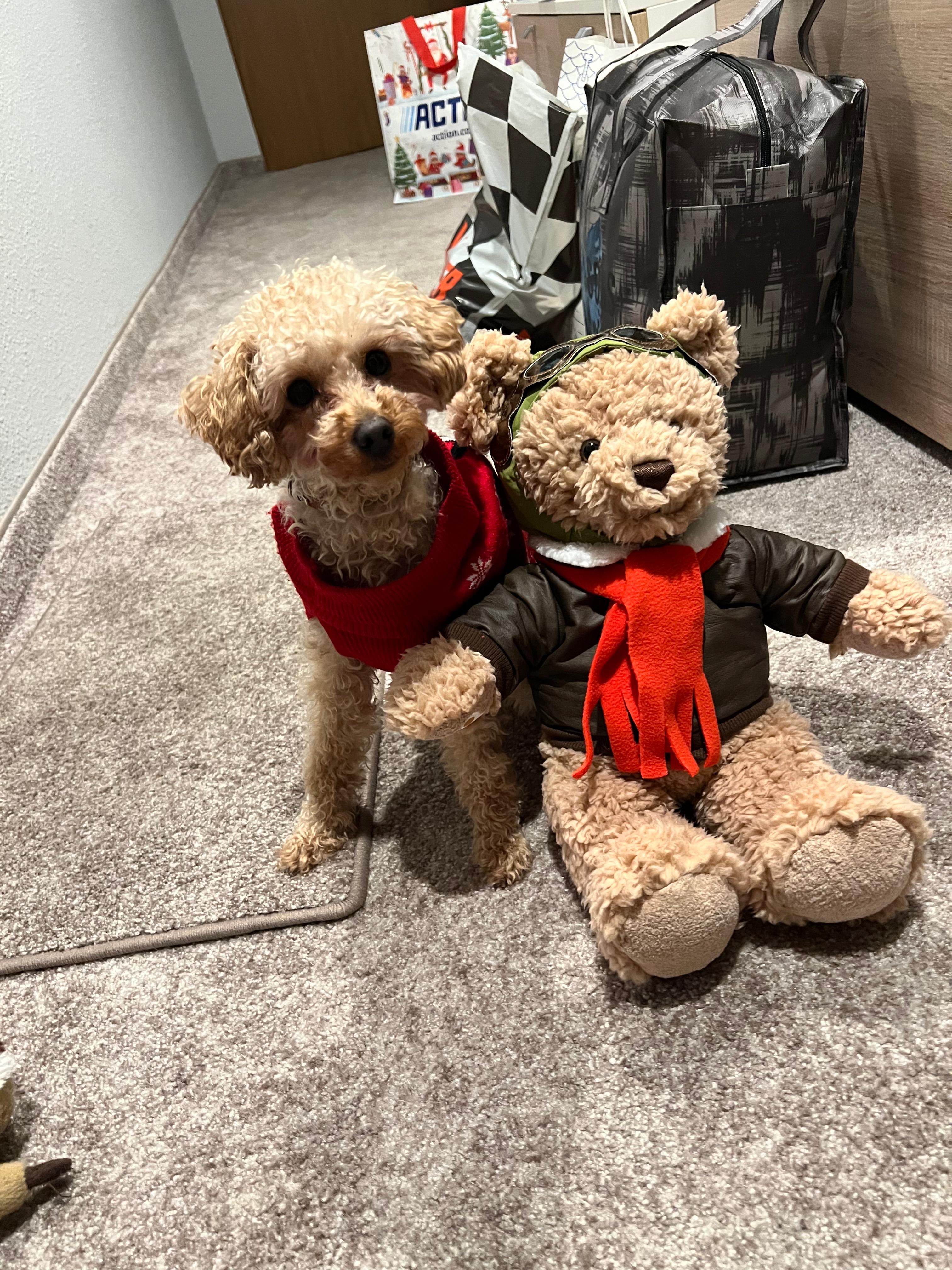 image-29