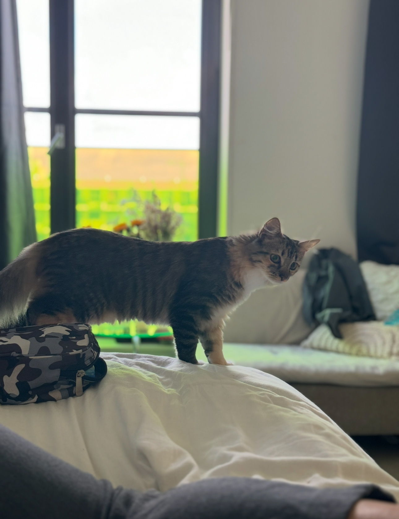 image-11