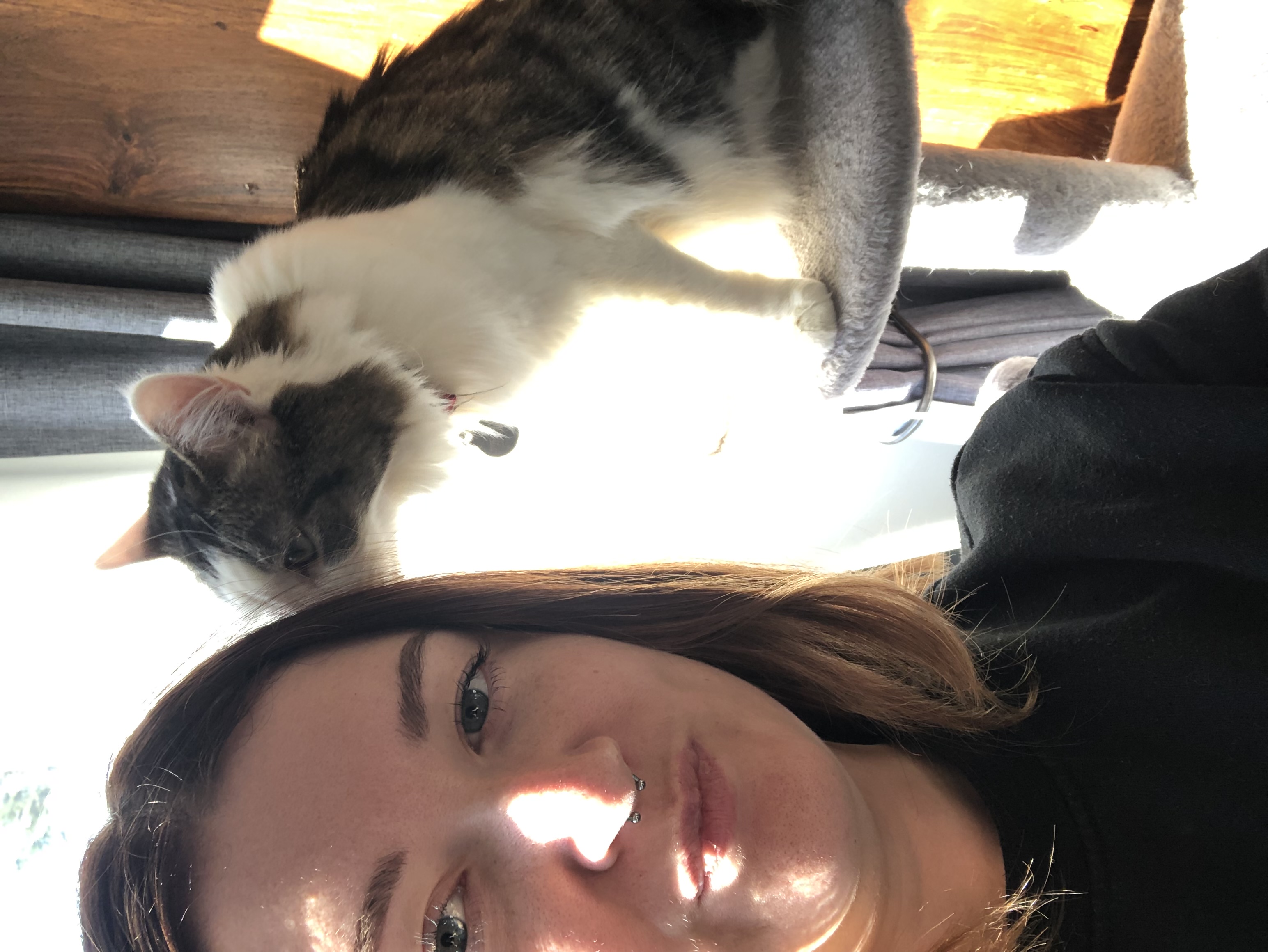 image-8
