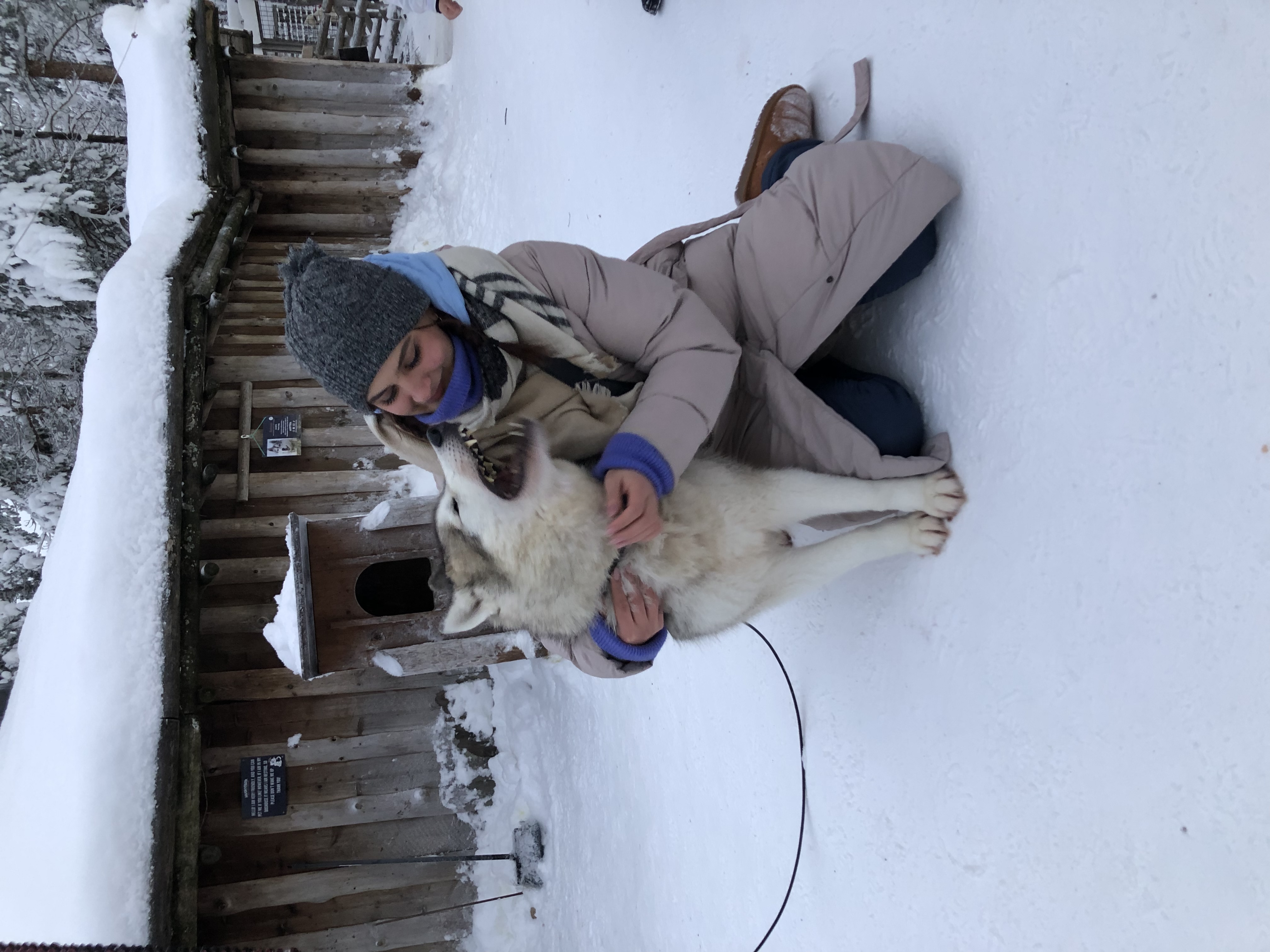image-8