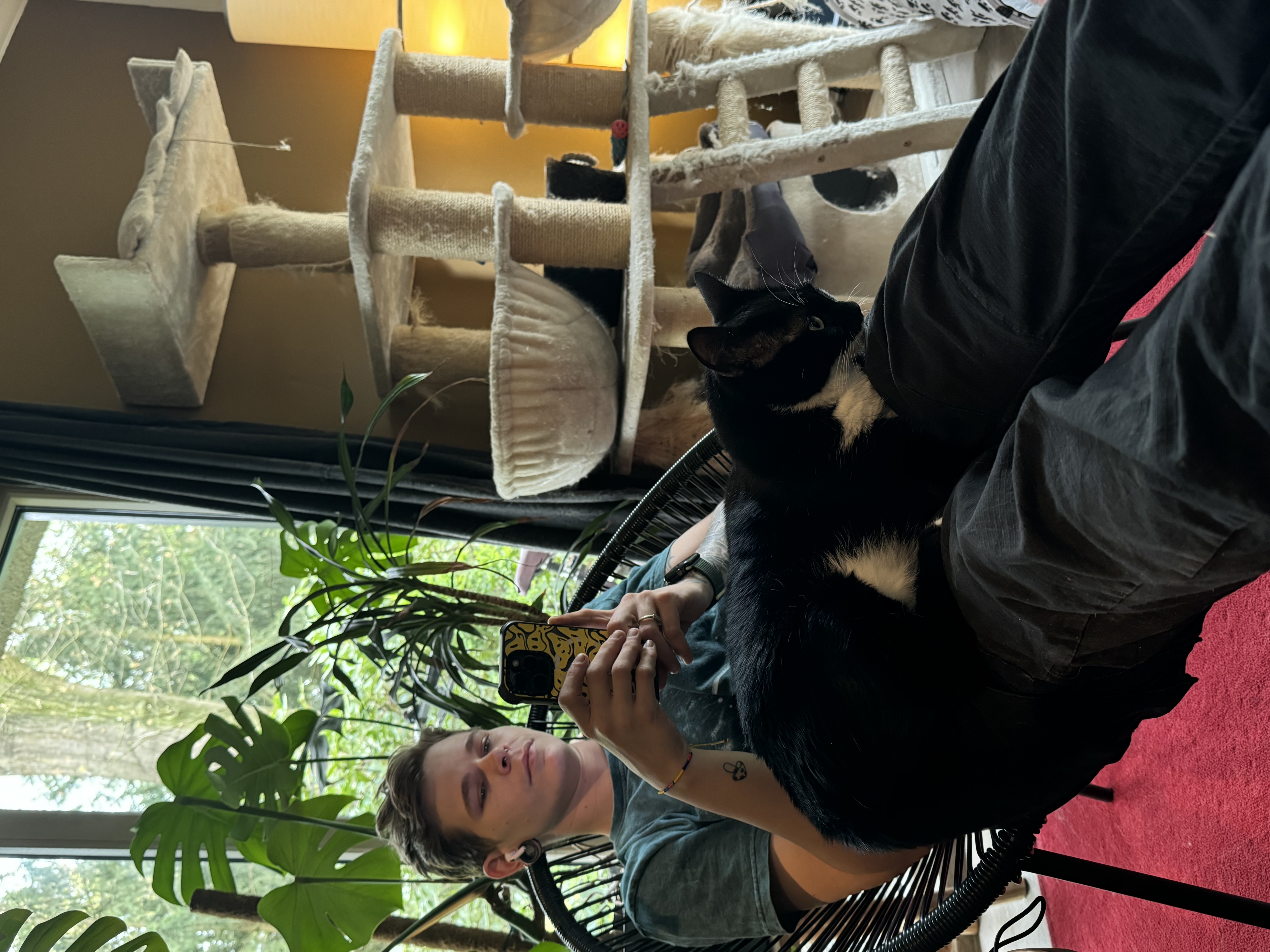 image-6