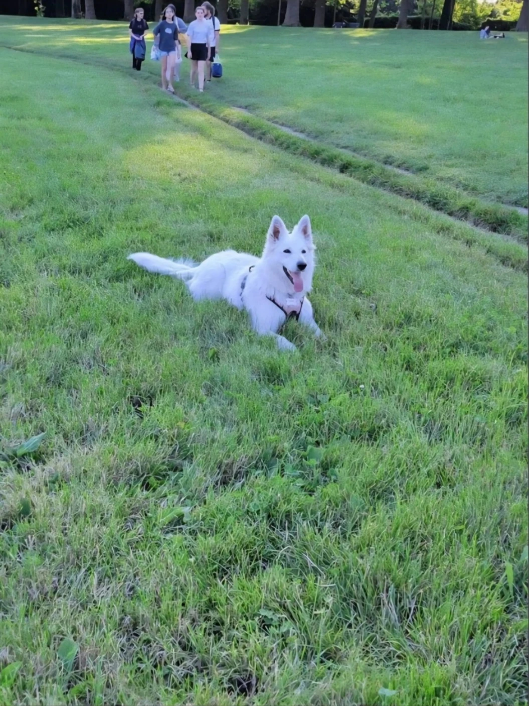 image-6