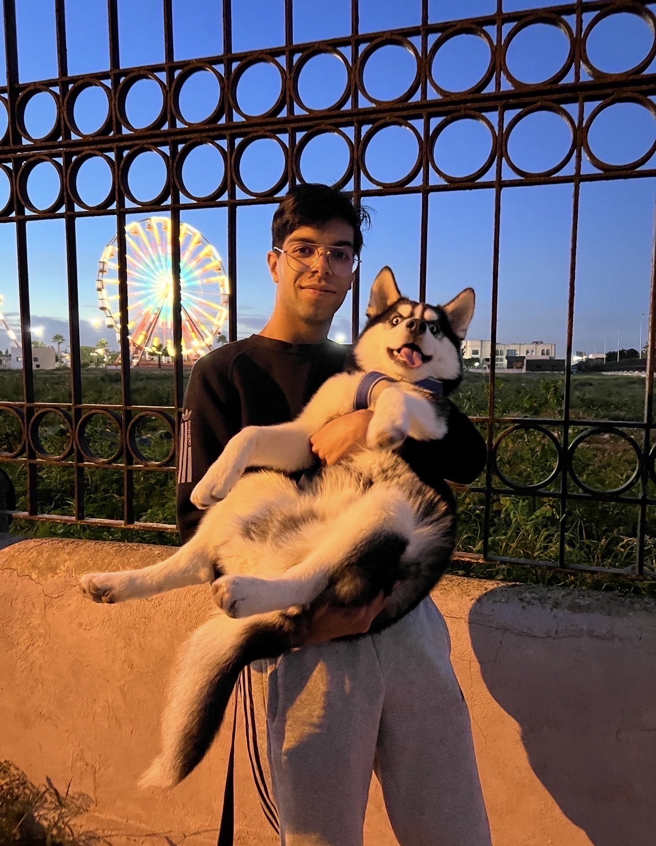 image-6