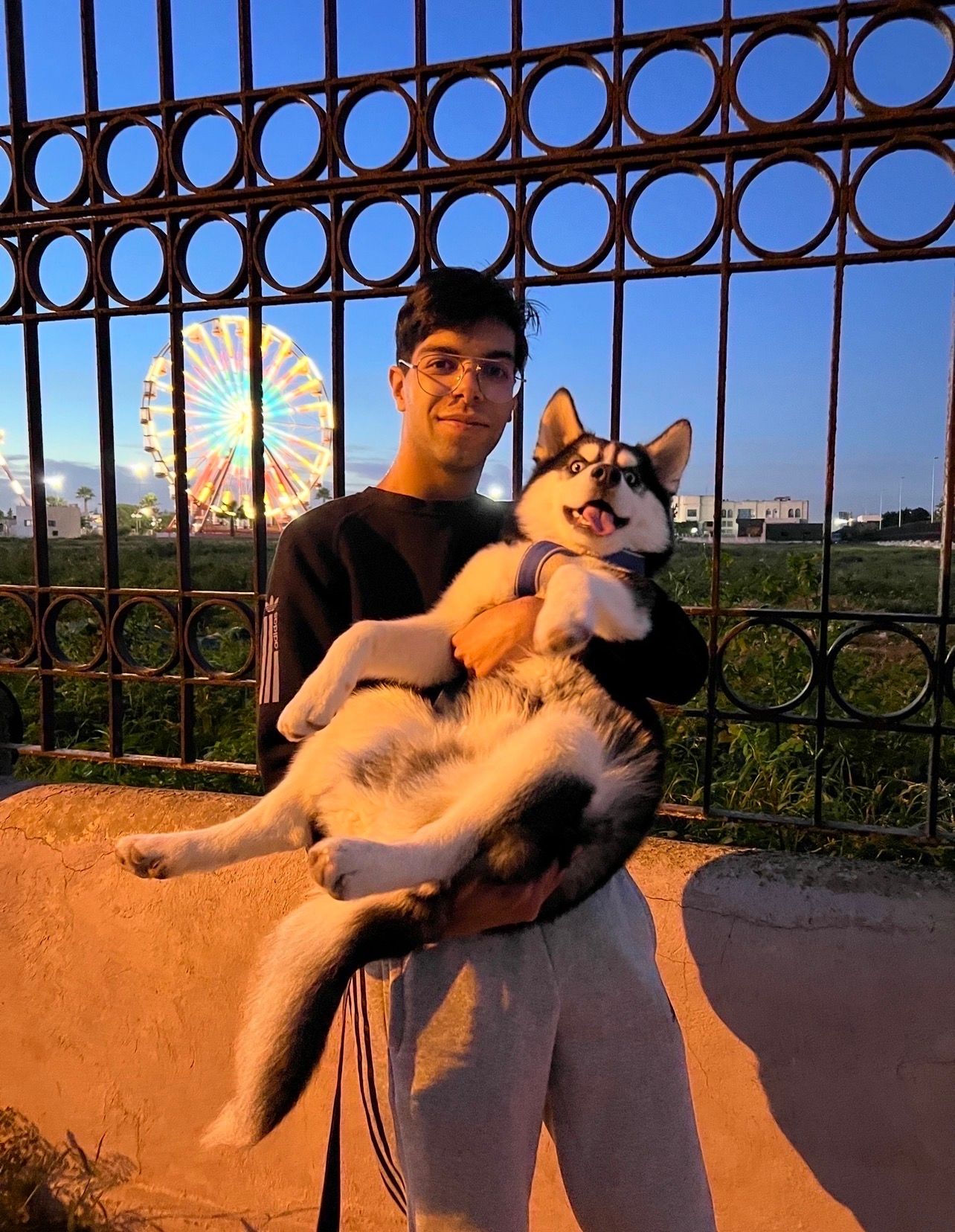 image-6