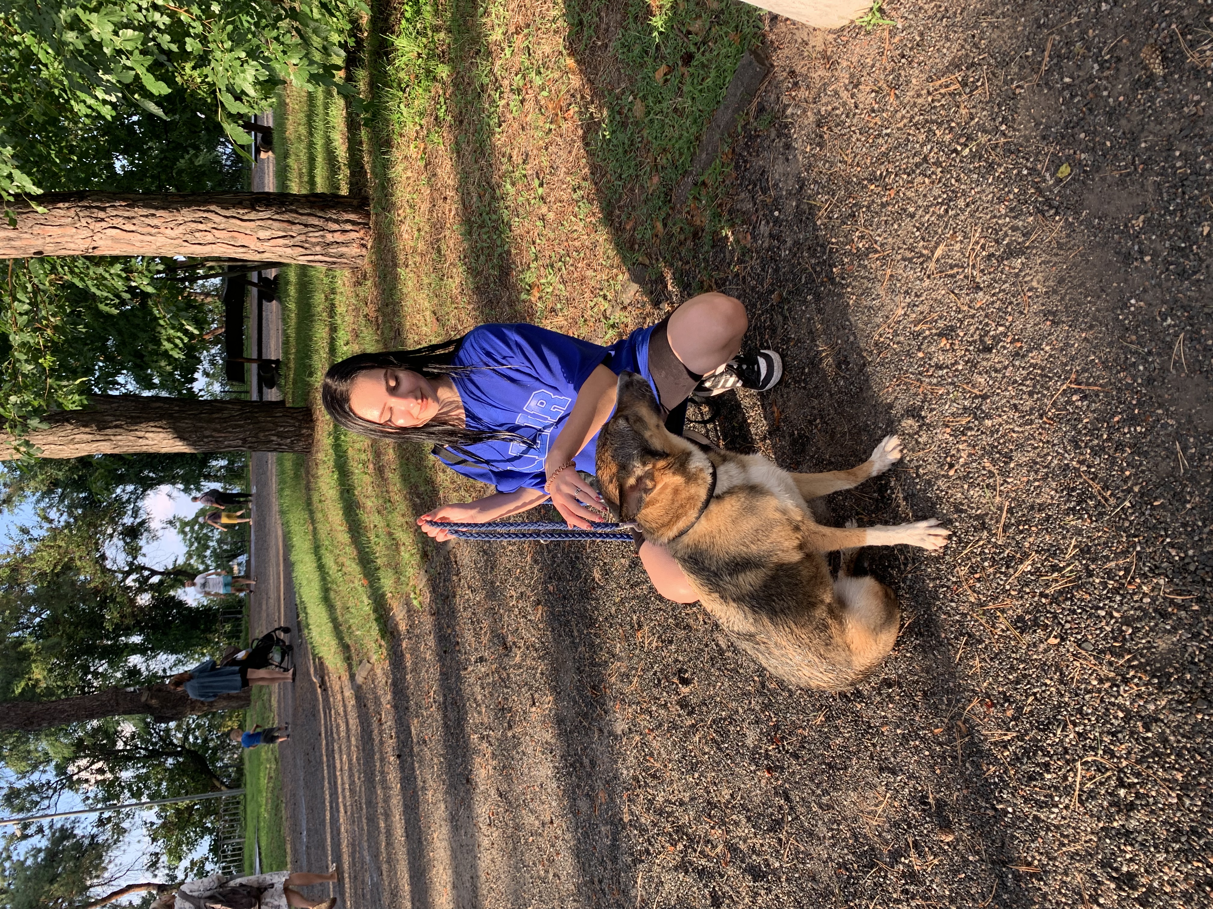 image-8