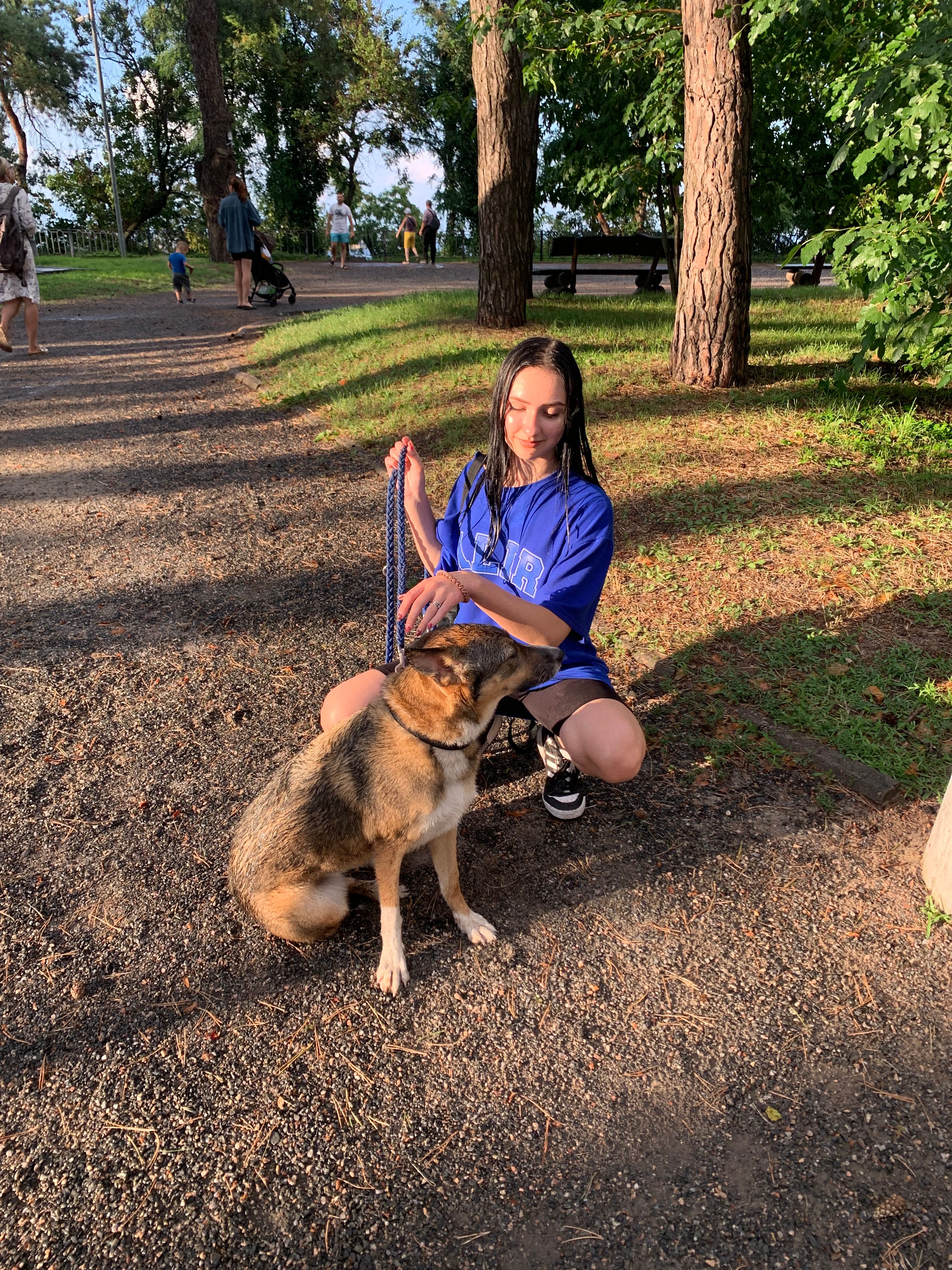 image-8