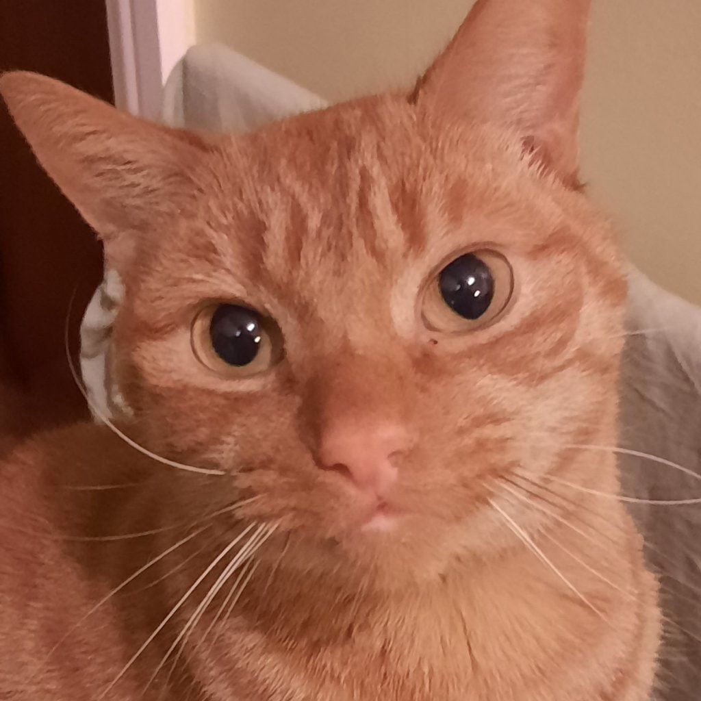 Jasper