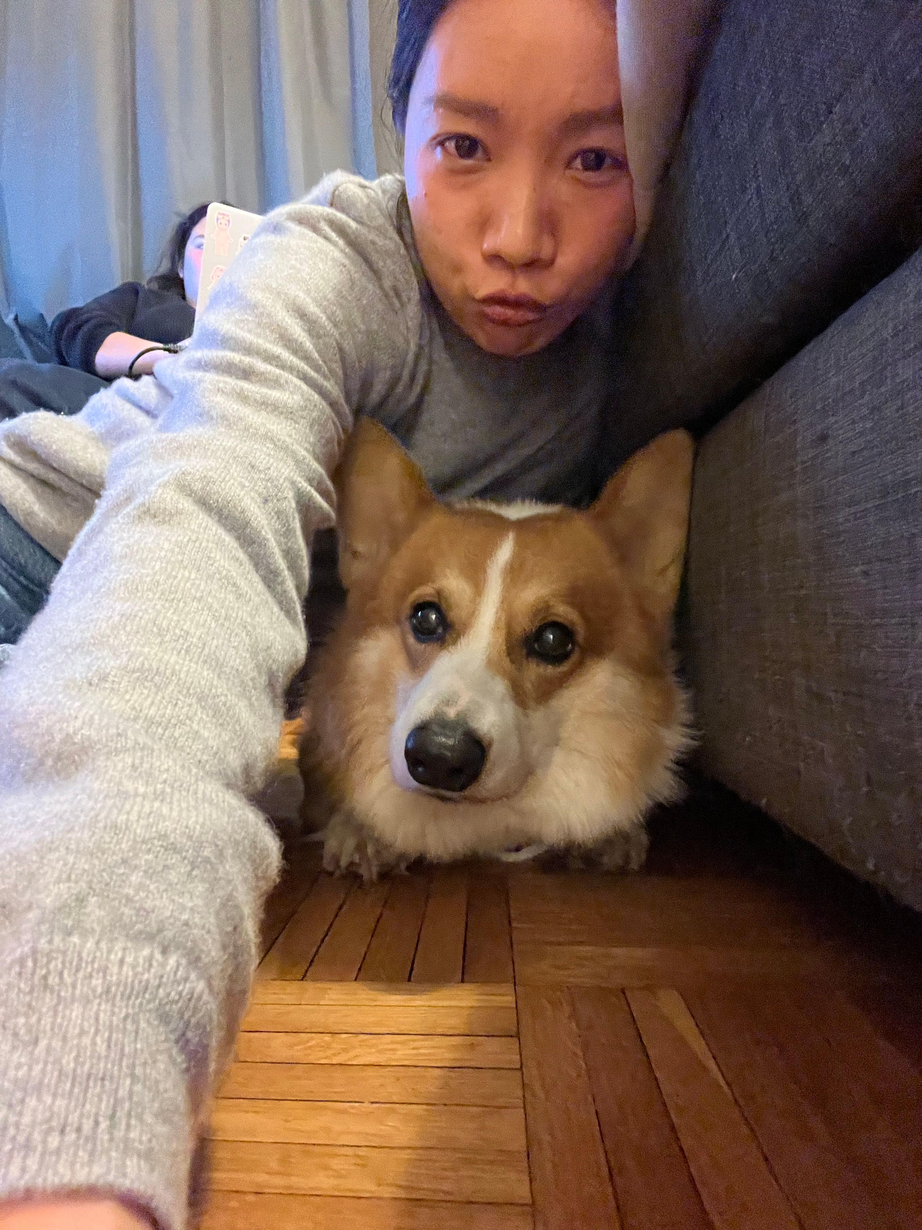 image-4
