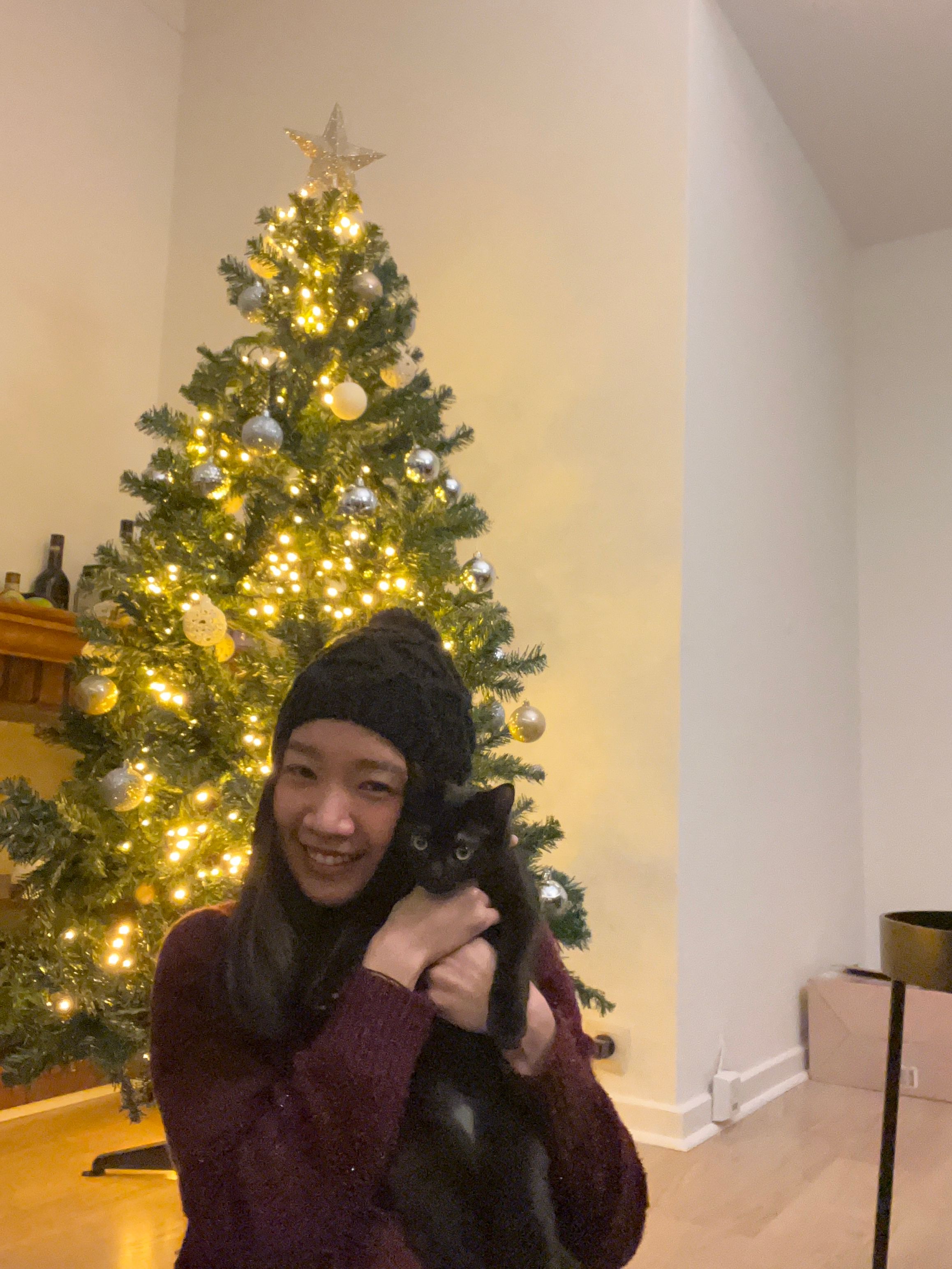 image-6