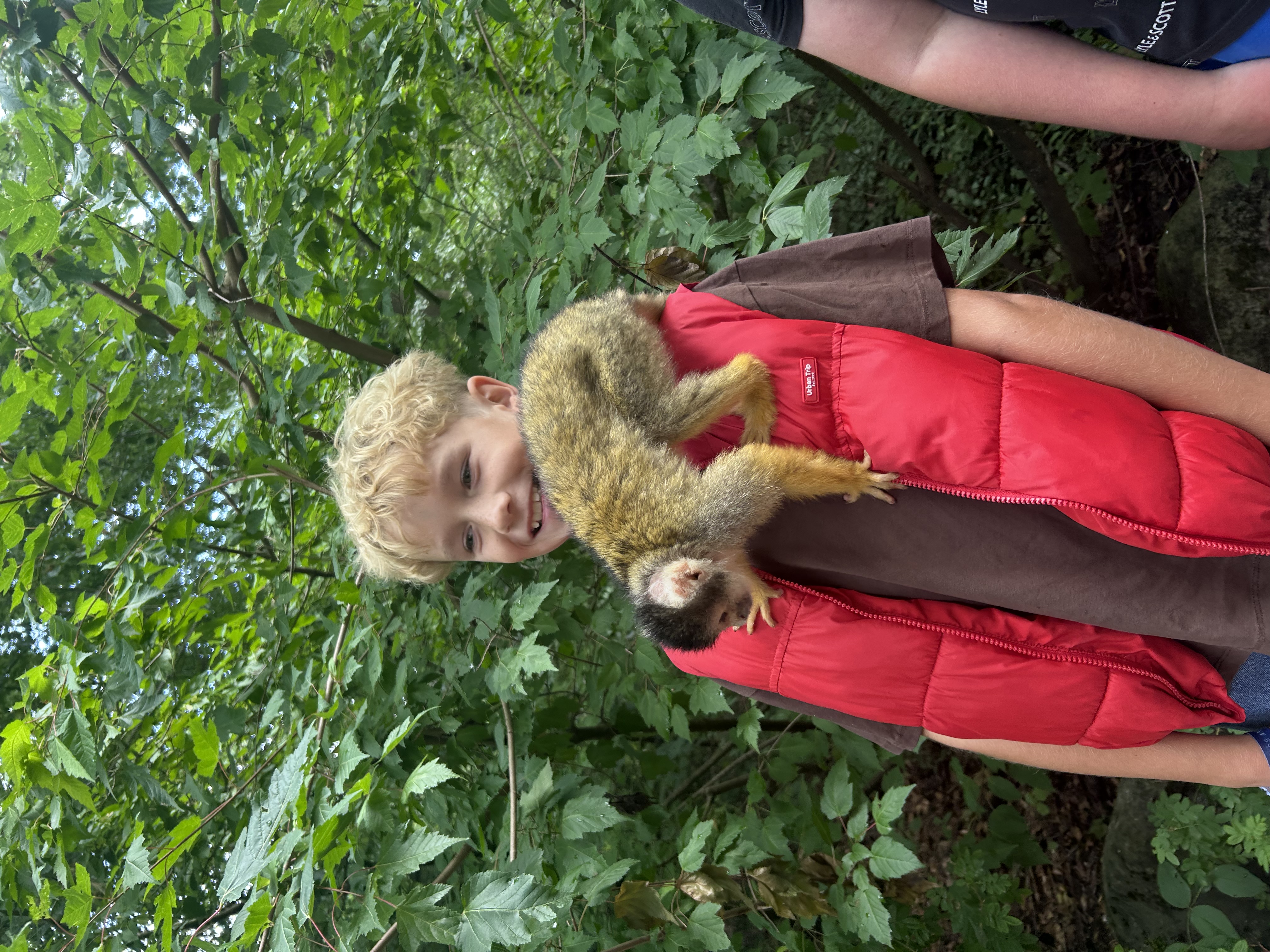 image-5