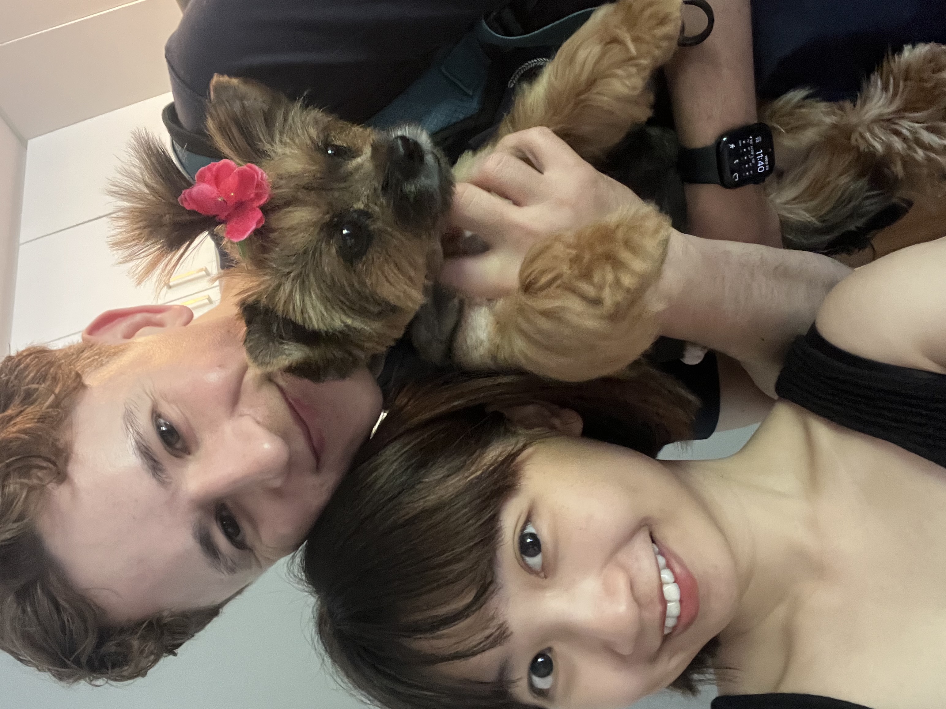 image-5