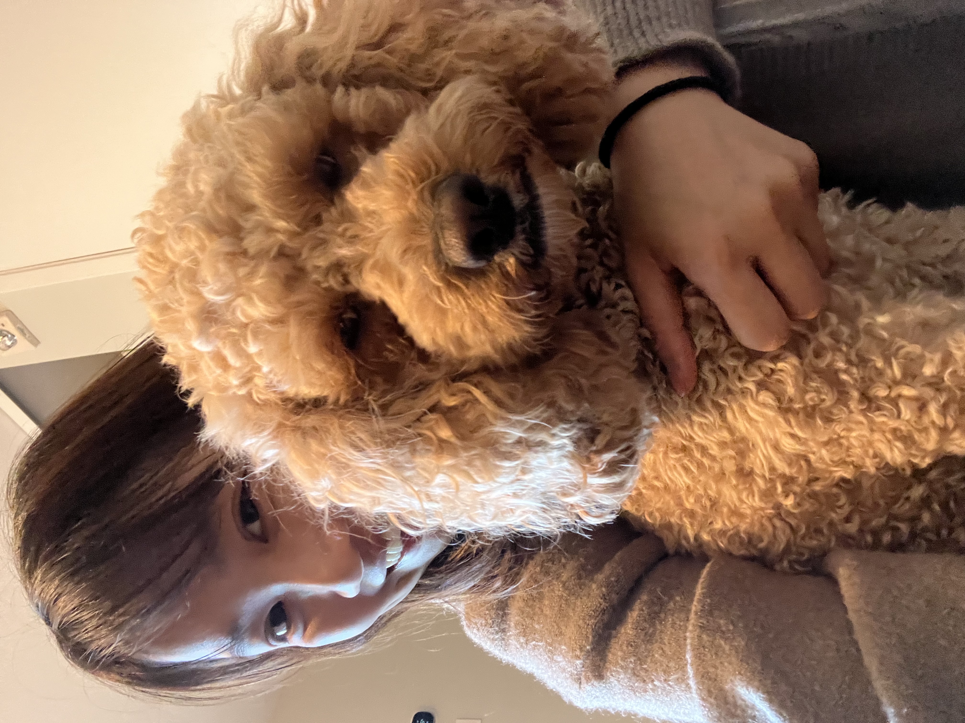 image-4