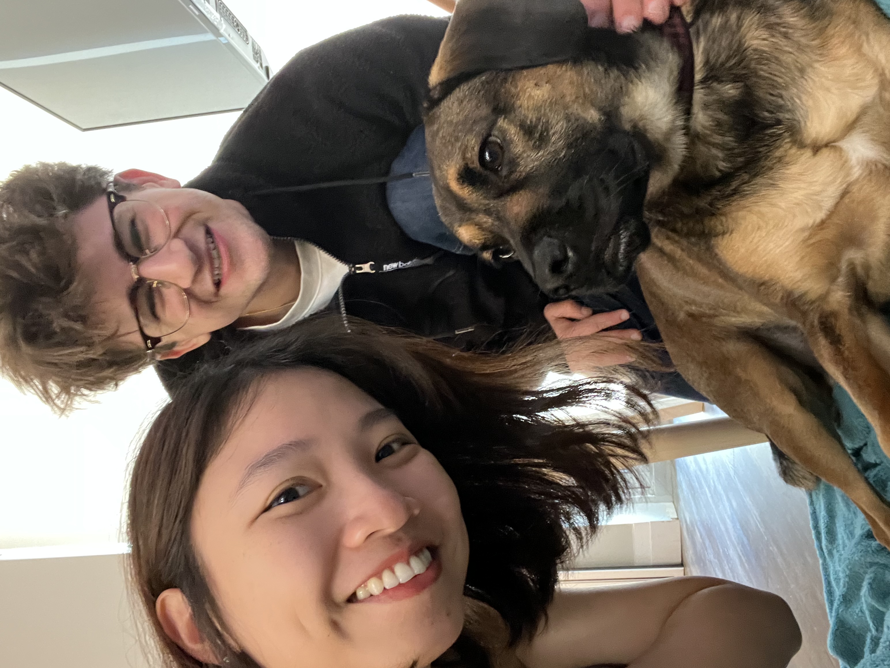 image-12