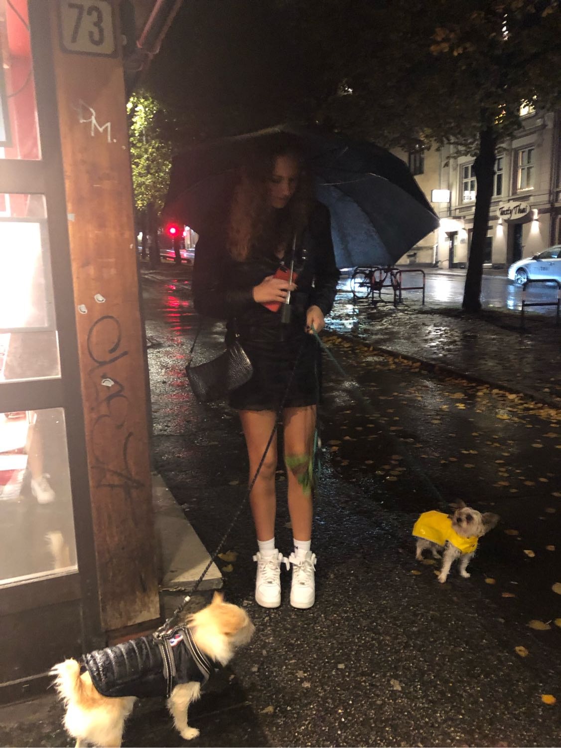 image-3