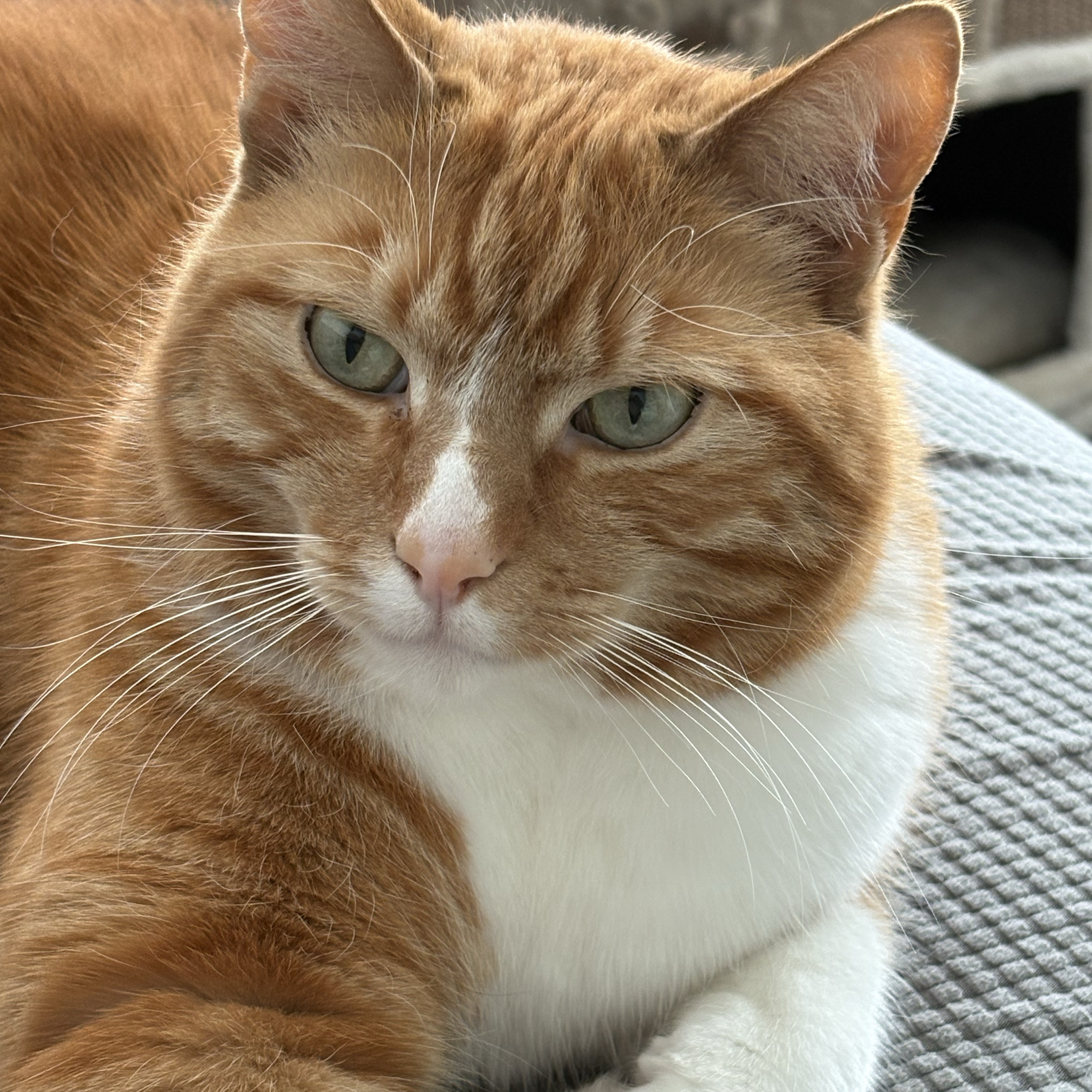 Charlie 
