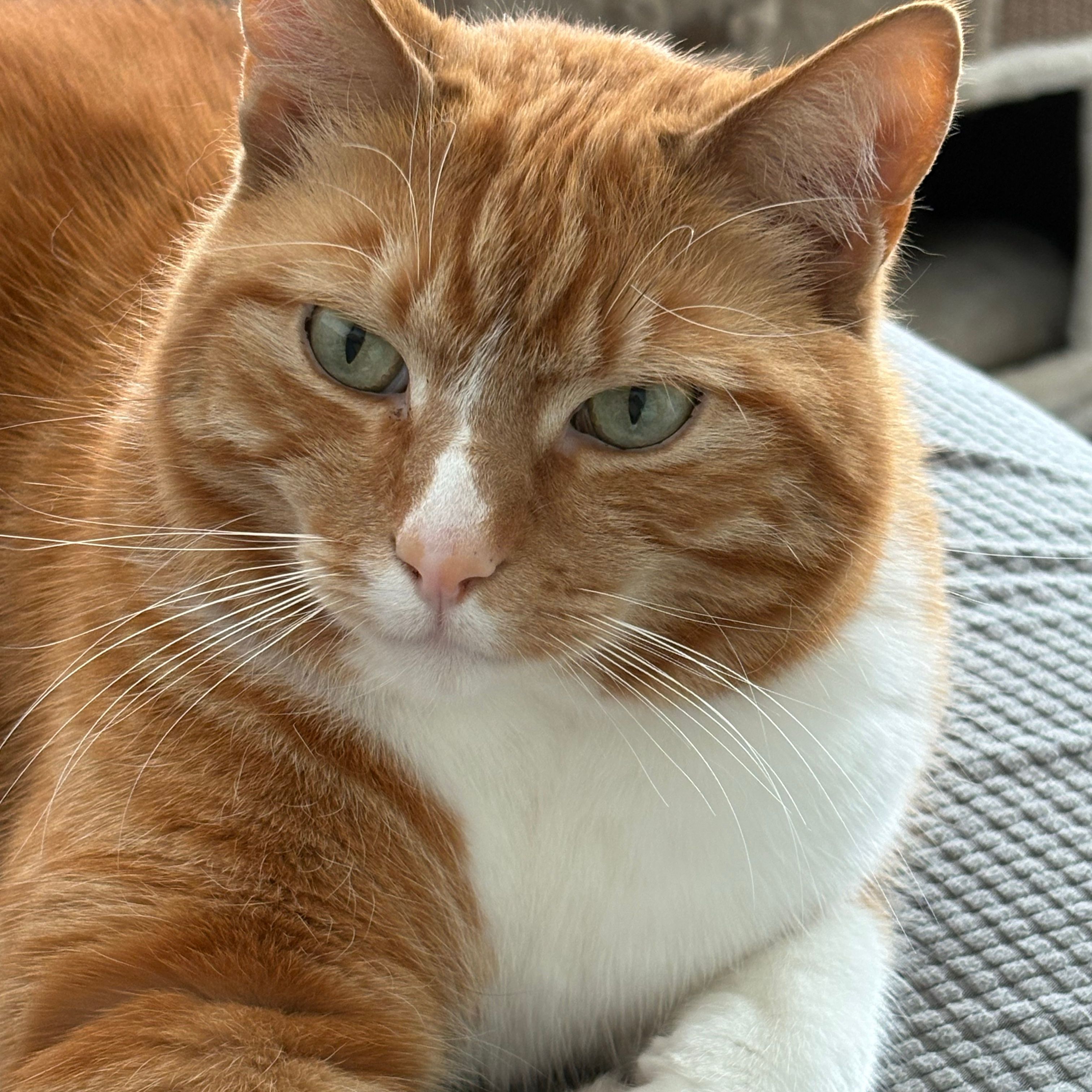 Charlie
