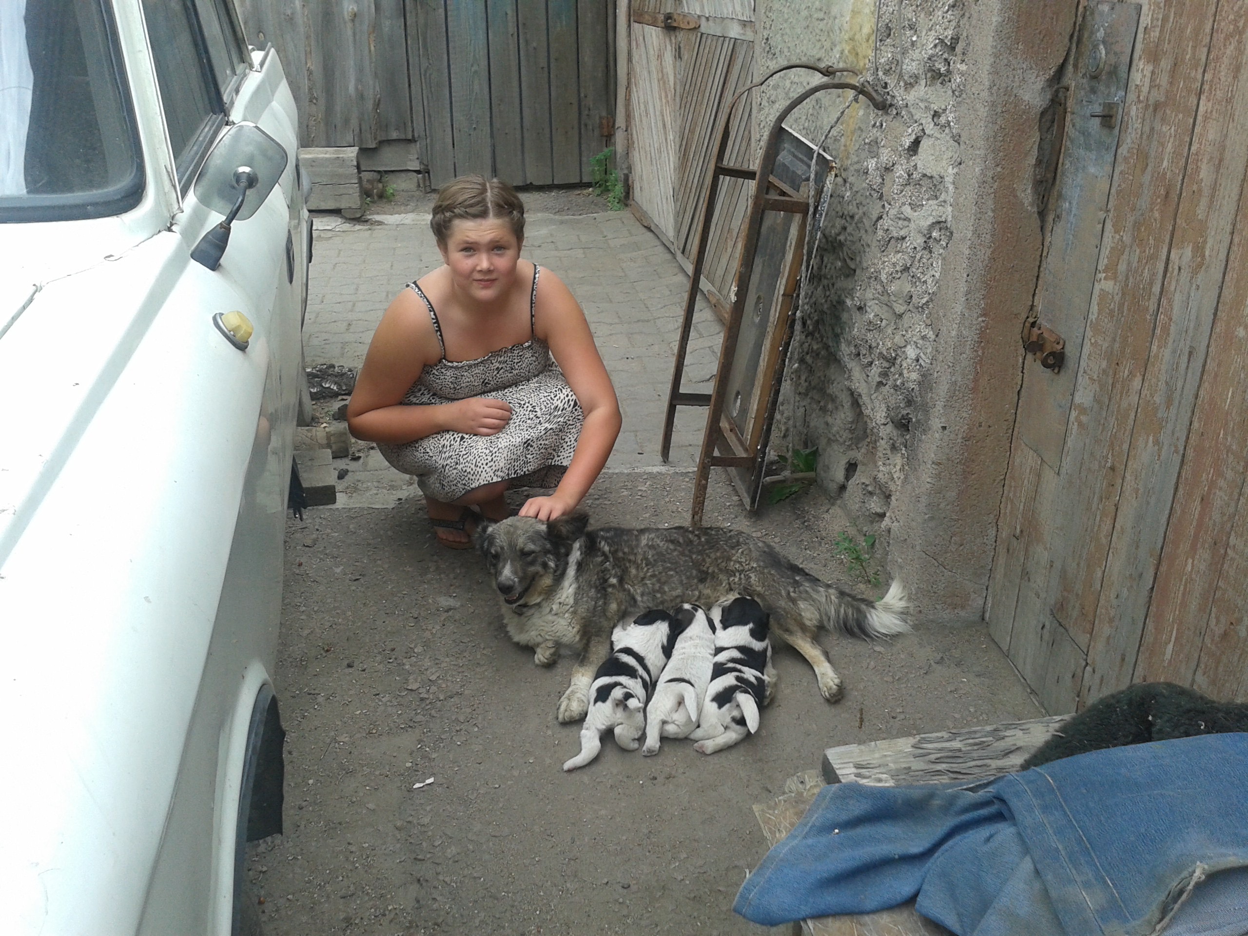 image-3