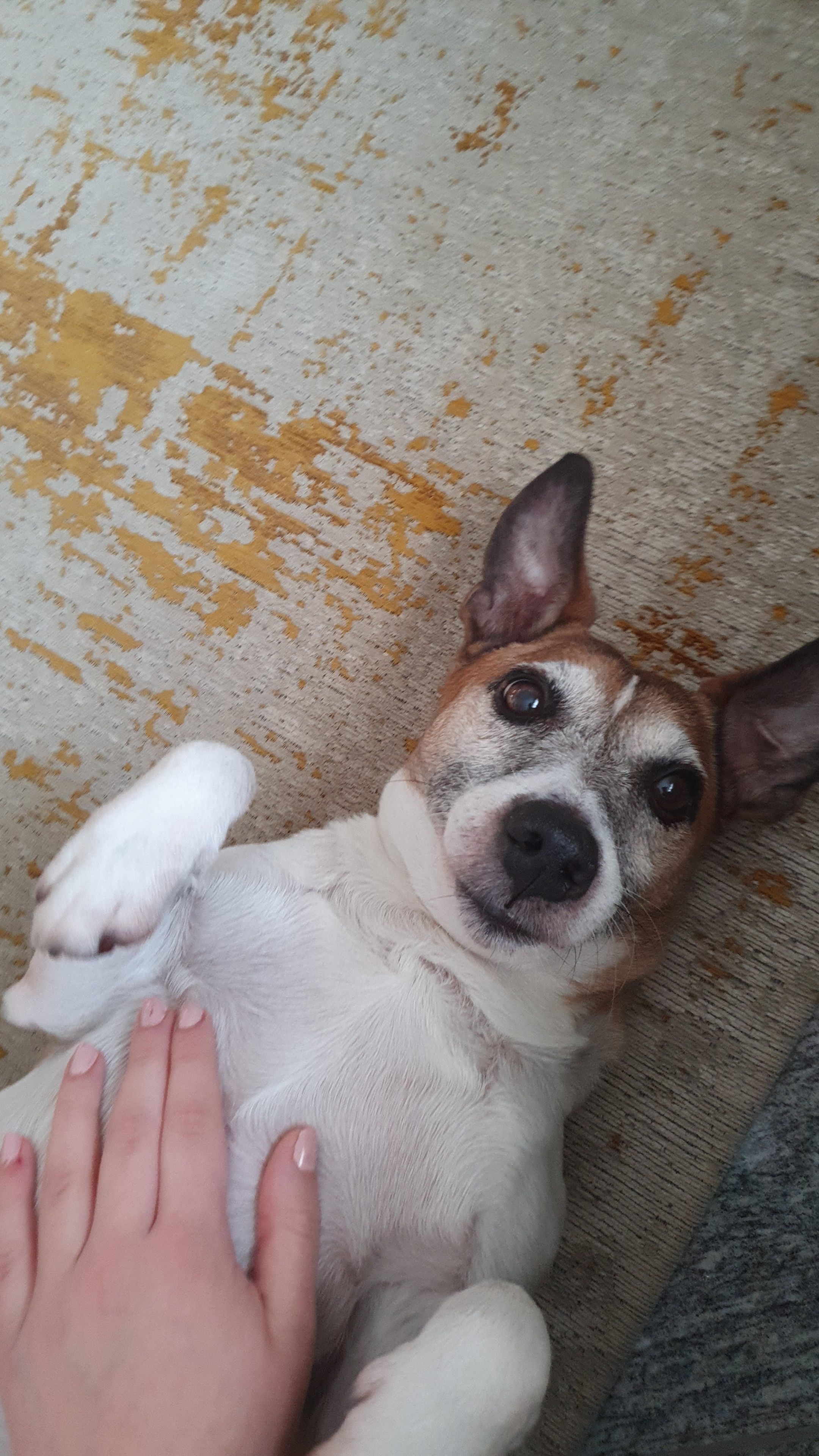 image-9