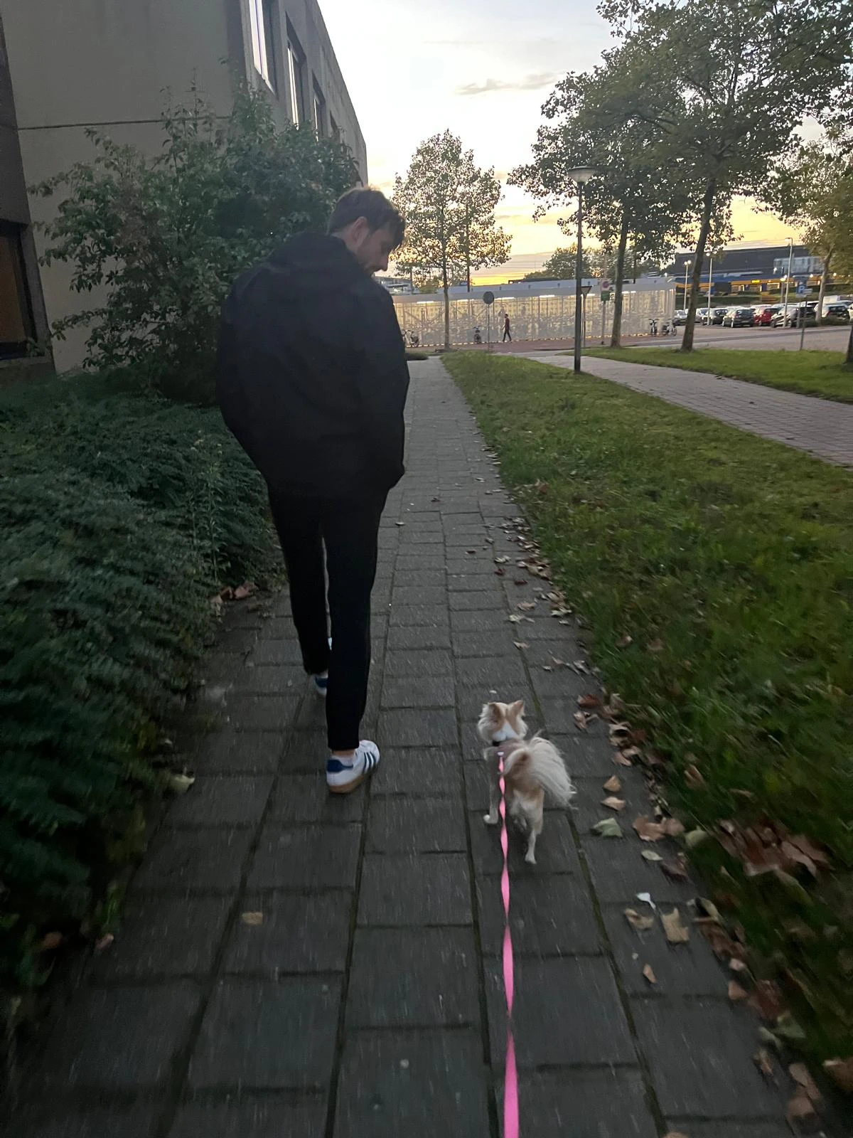image-15