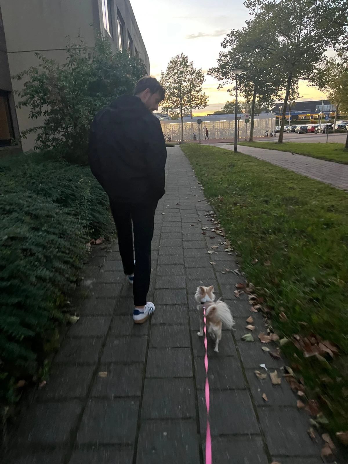 image-15