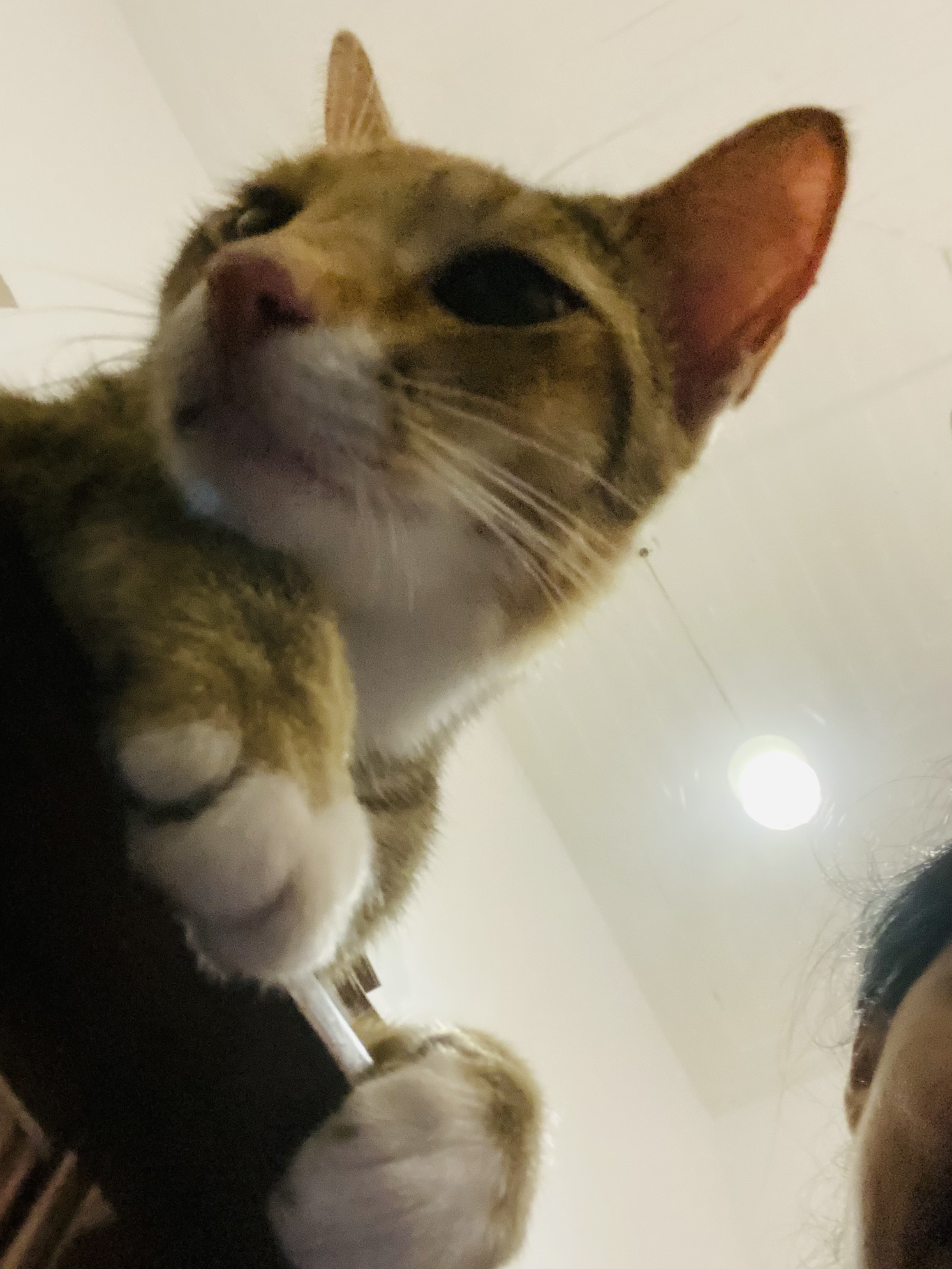 image-10